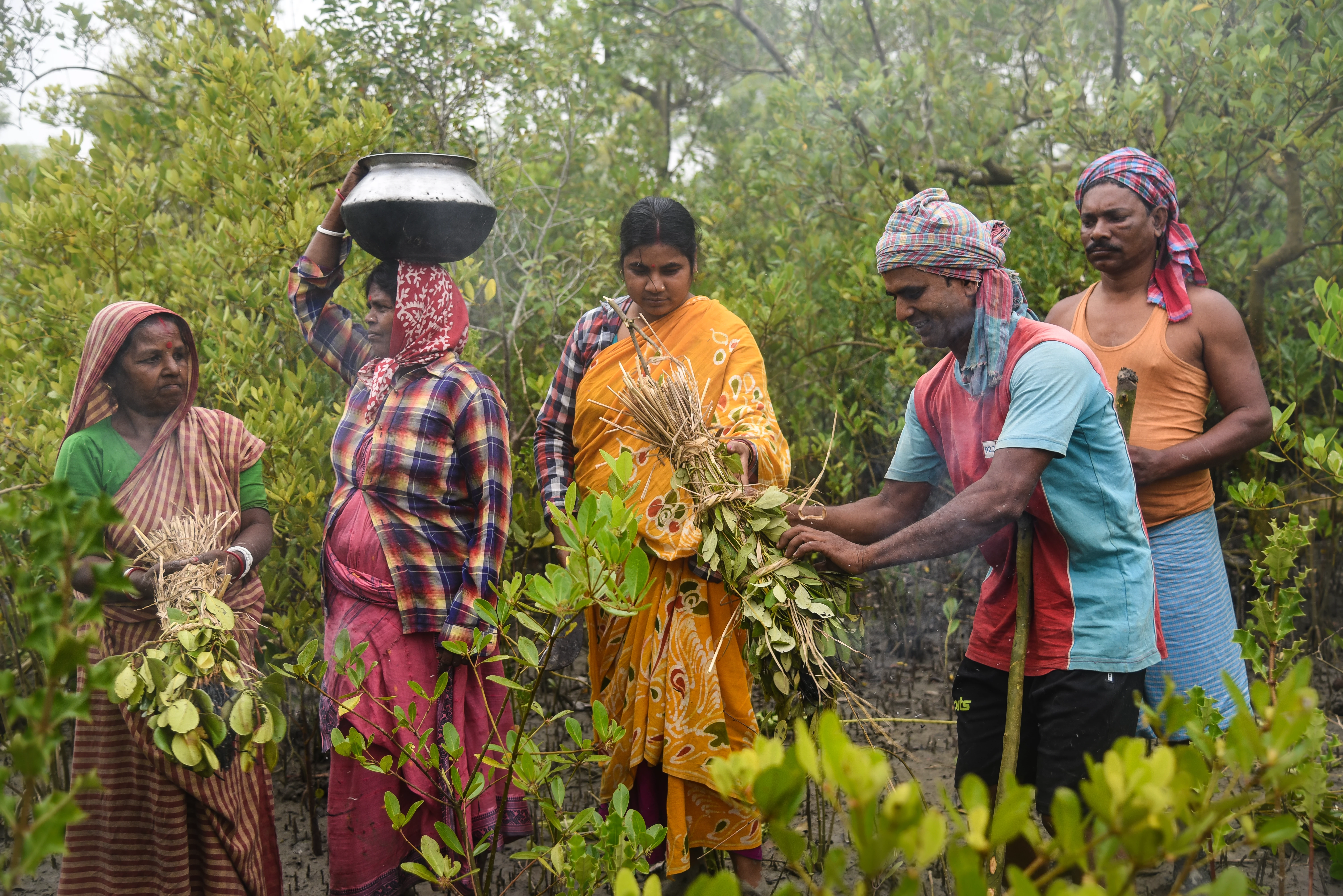 Moulis op traditionele wijze op zoek naar honing_Tanmoy Bhaduri_WWF.JPG