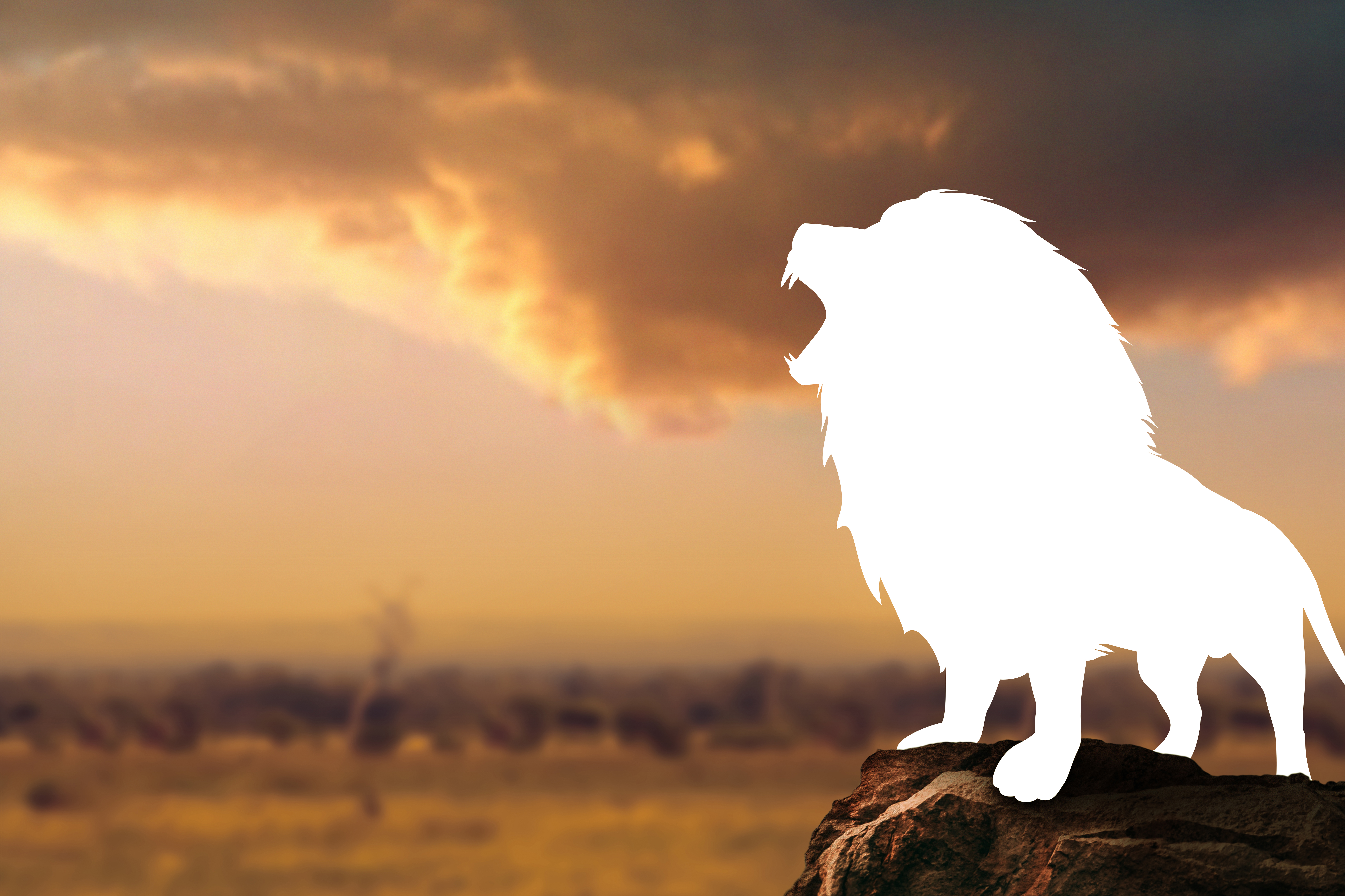 Header afbeelding leeuw