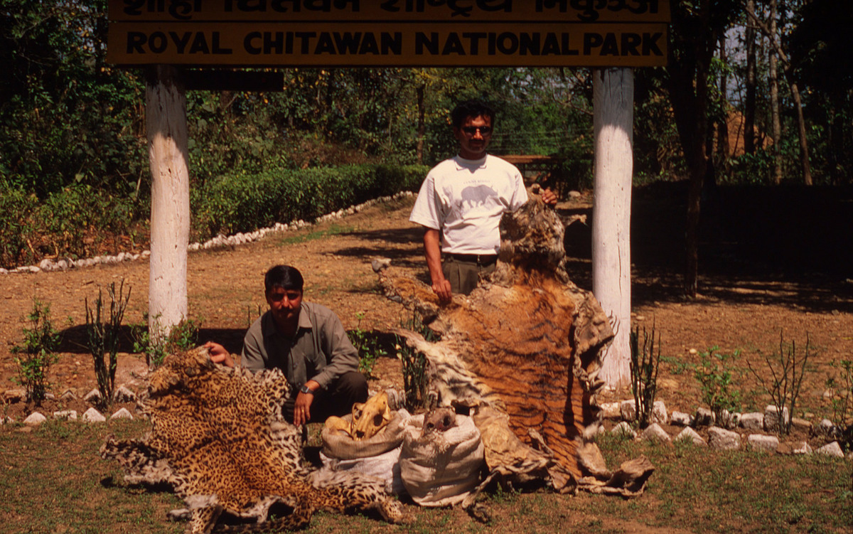 Twee mannen houden luipaardvellen vast