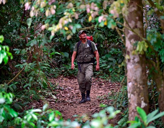 Ranger in de Amazone