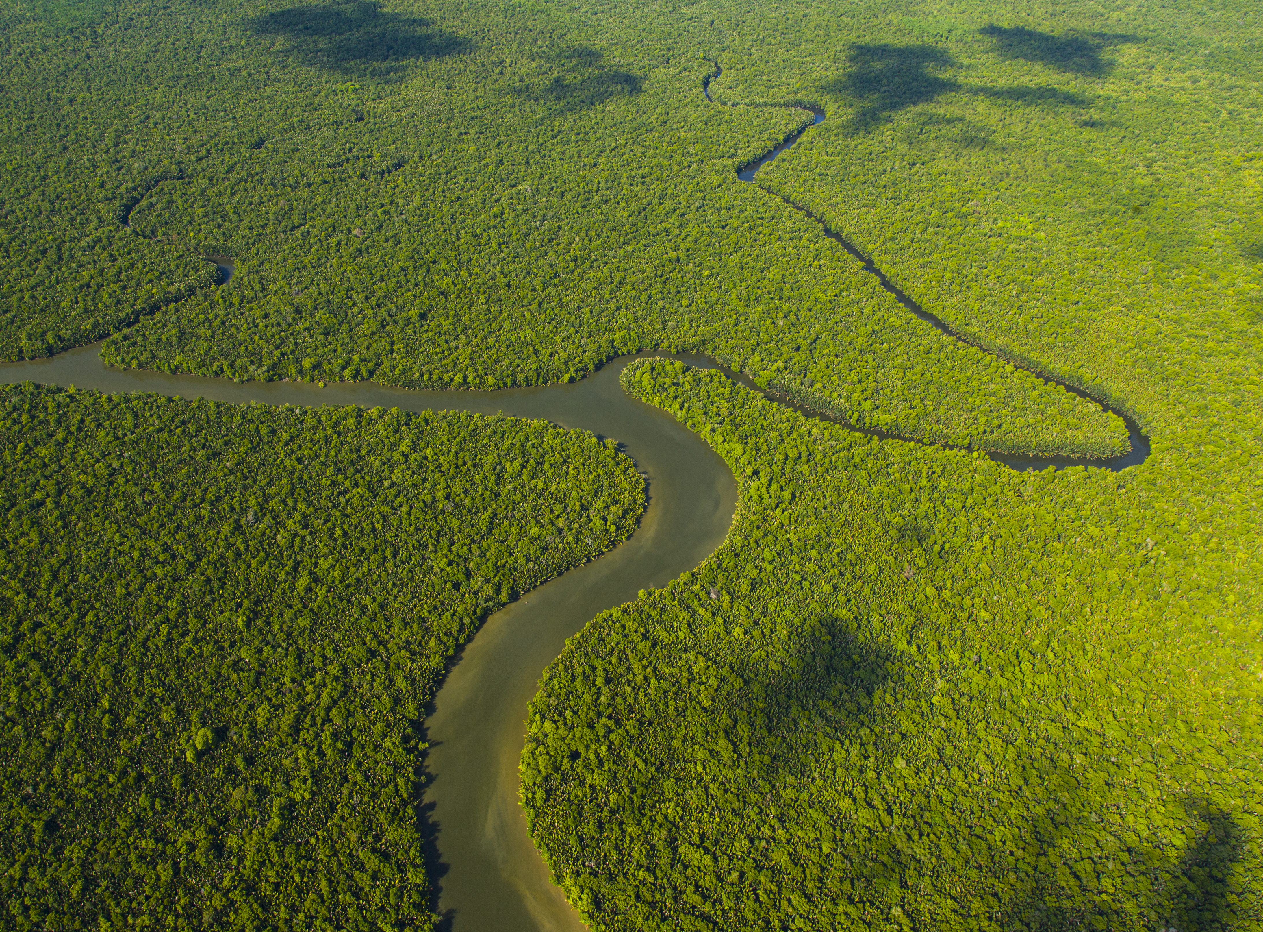  Luchtfoto van de rivier de Kinabatangan en het tropische regenwoud van de rivier in Borneo