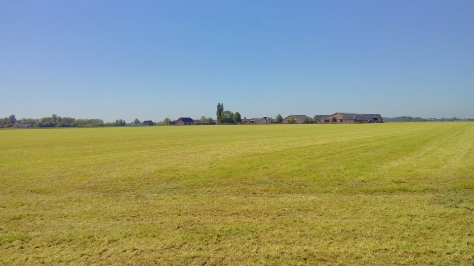 Engels Raaigras (intensieve landbouw)