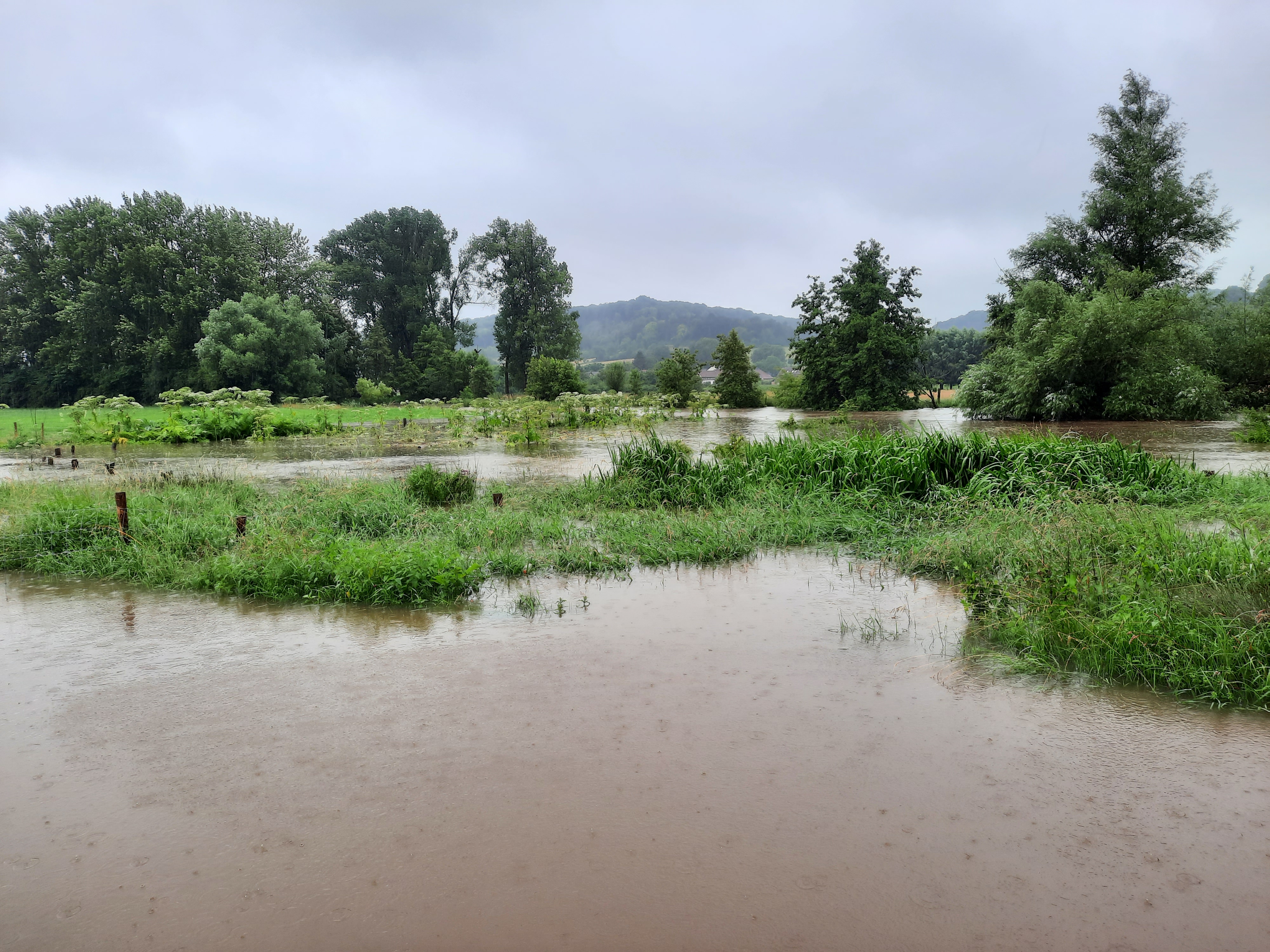 Overstroomd weiland, Limburg geul Wijlre