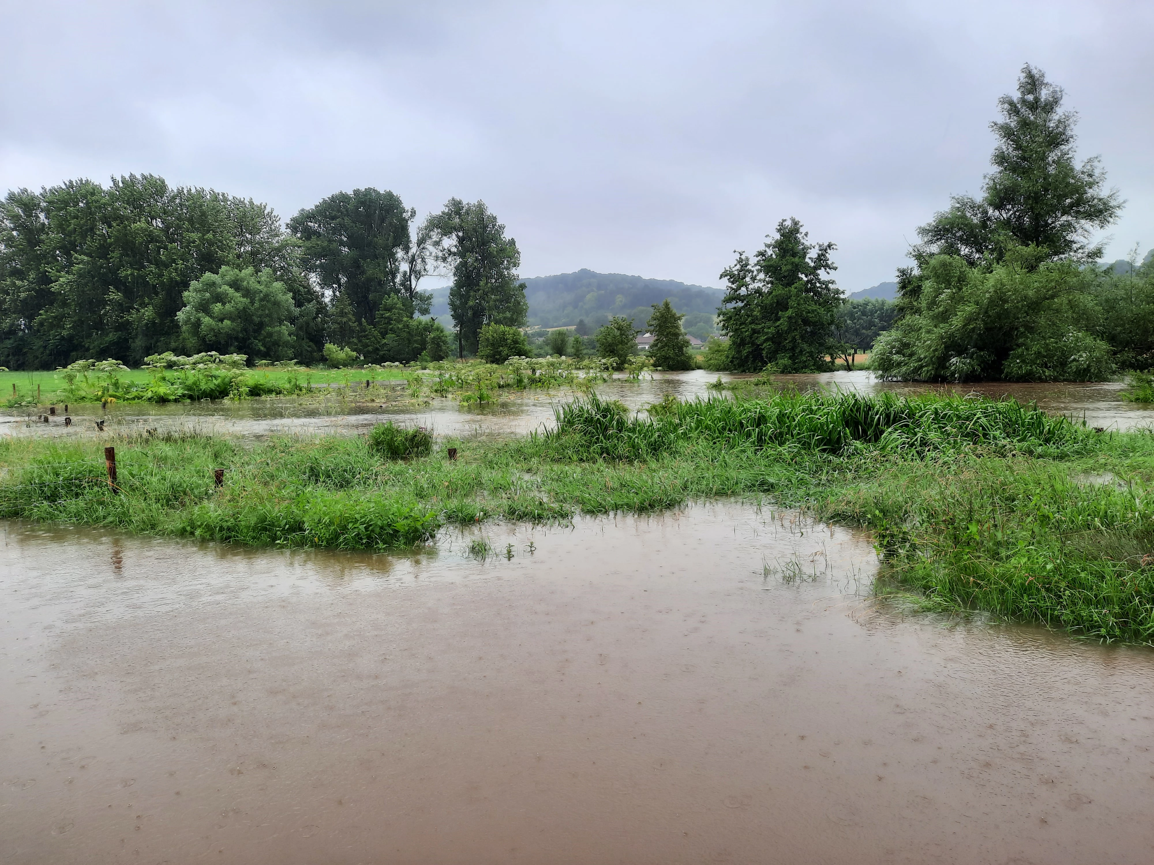 Overstroom weiland geul Limburg