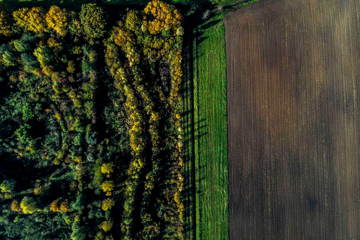 Voedselbossen 15 oktober