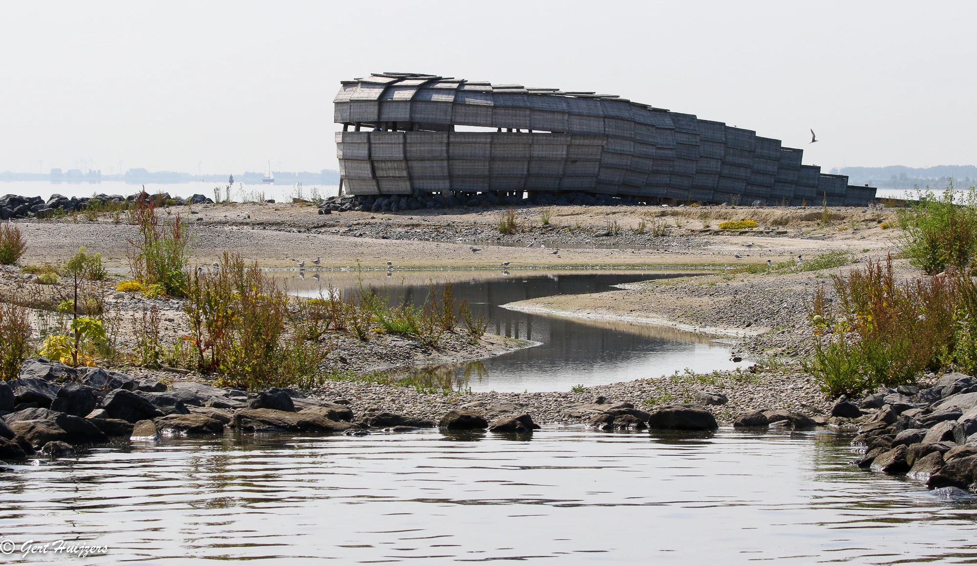 Bliek in het Haringvliet