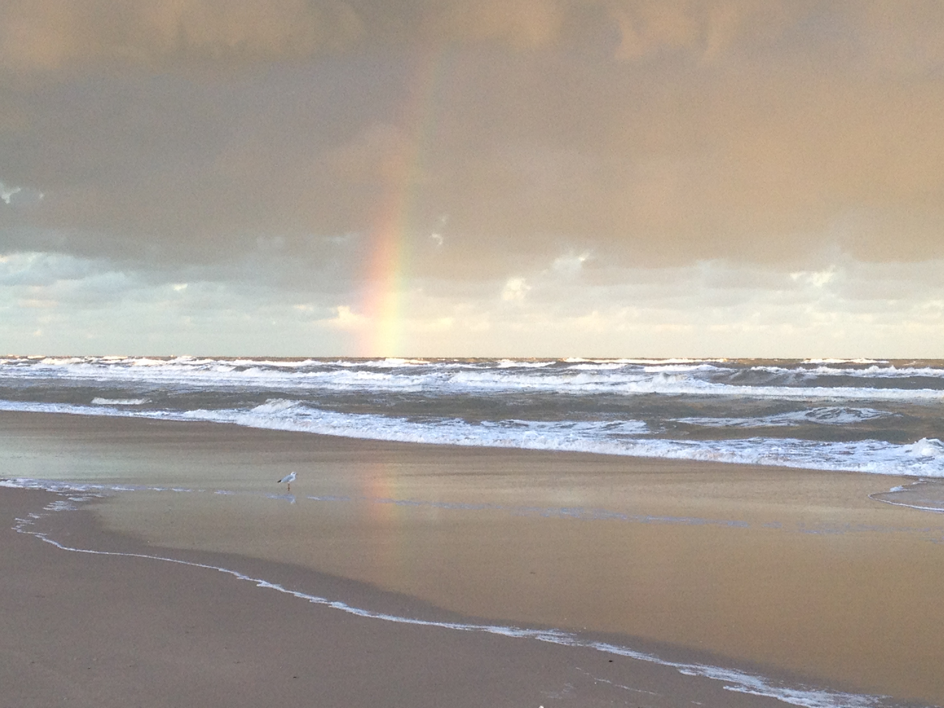 Internationale Dag van de Noordzee