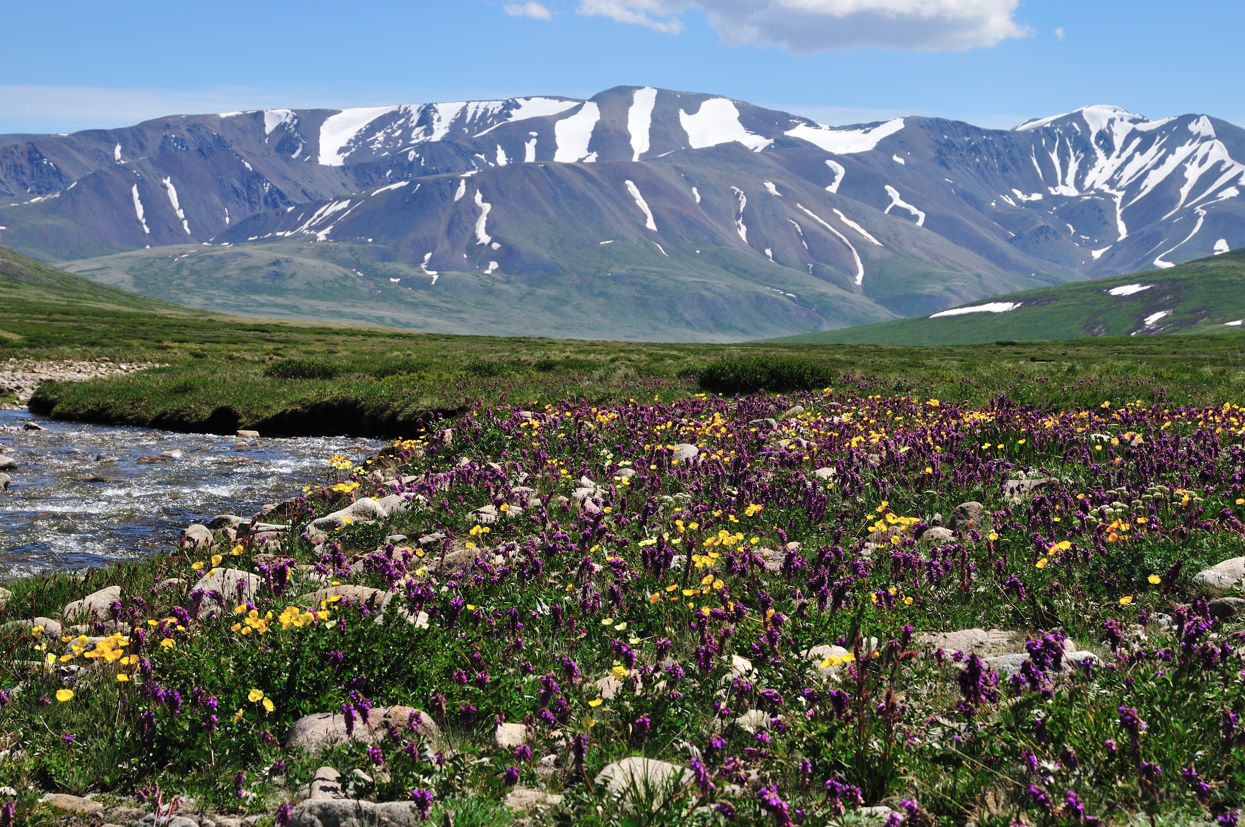 Altai Sayan, Rusland 