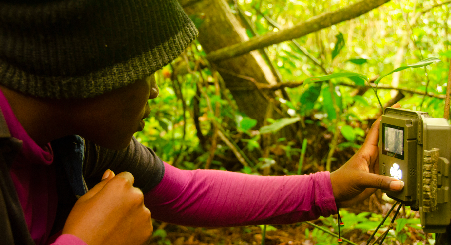 man bediend een camera in het bos