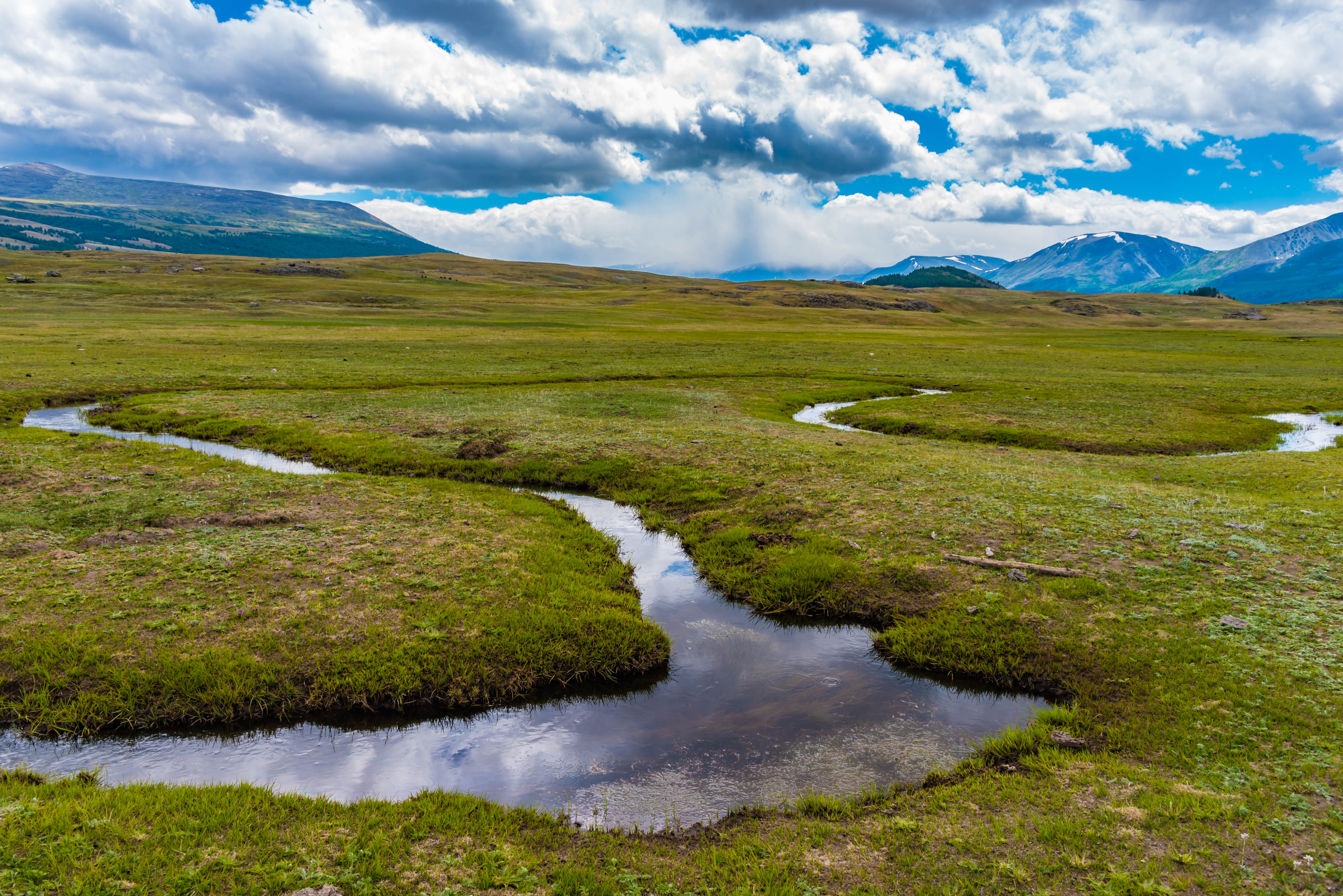 Waterbronnen voor sneeuwluipaarden