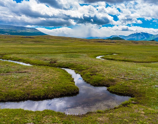 Waterbronnen voor sneeuwluipaarden