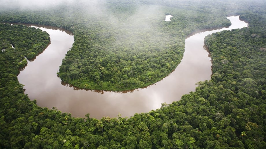 areal foto van amazone rivier