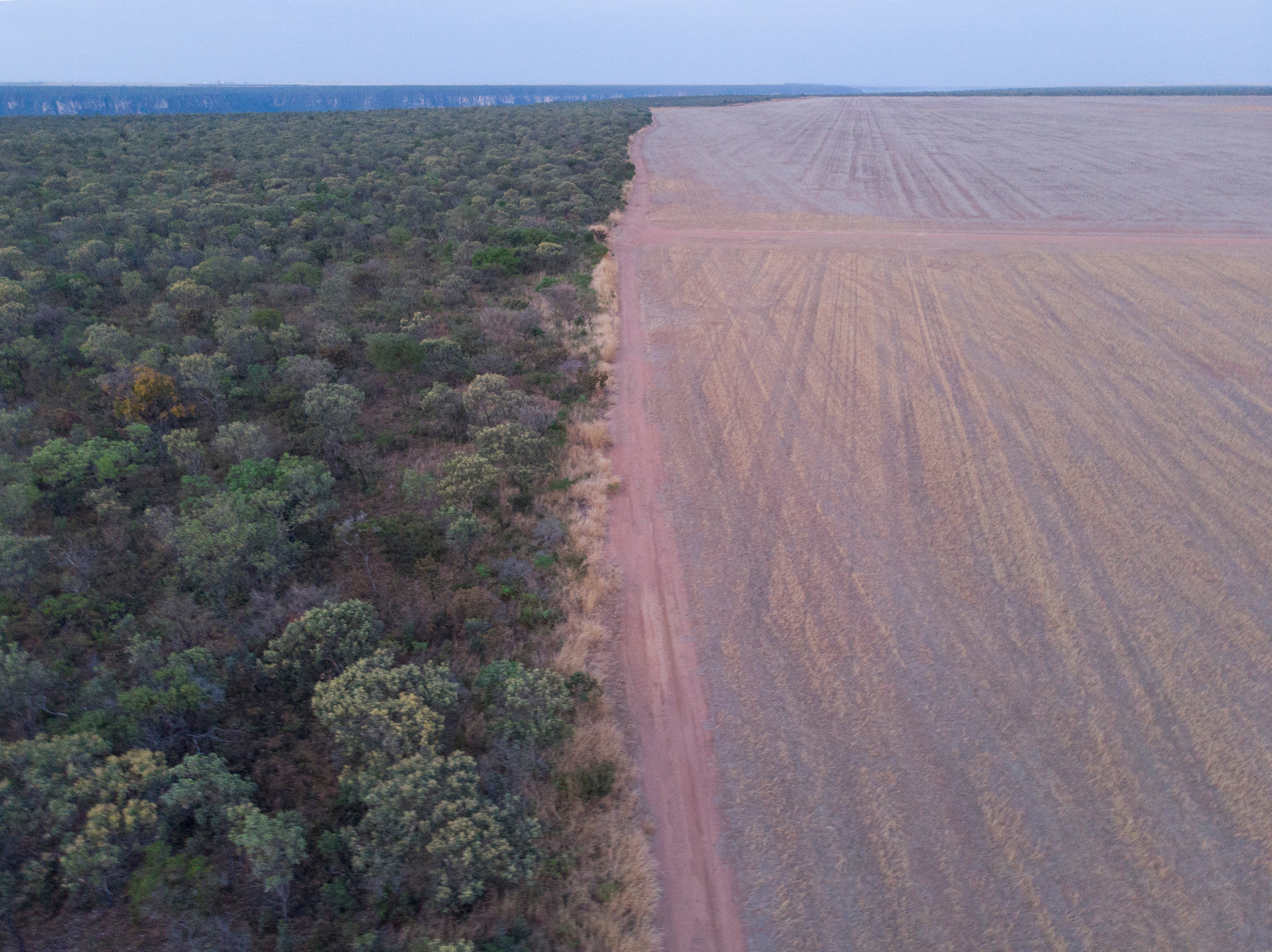 Ontbossing in de Cerrado in beeld