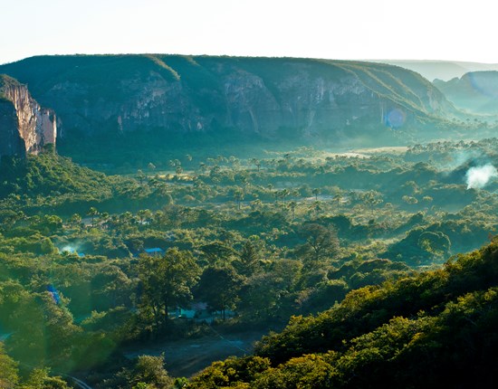 Uitzicht op de Cerrado-bossen, berg op de achtergrond, Brazilië