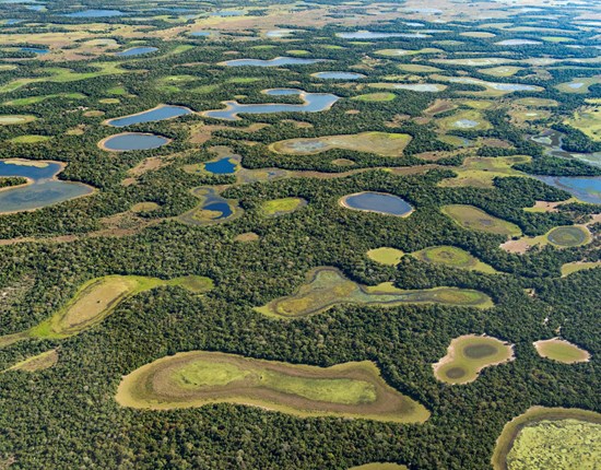 Ontbossing in het overgangsgebied tussen Cerrado en Pantanal