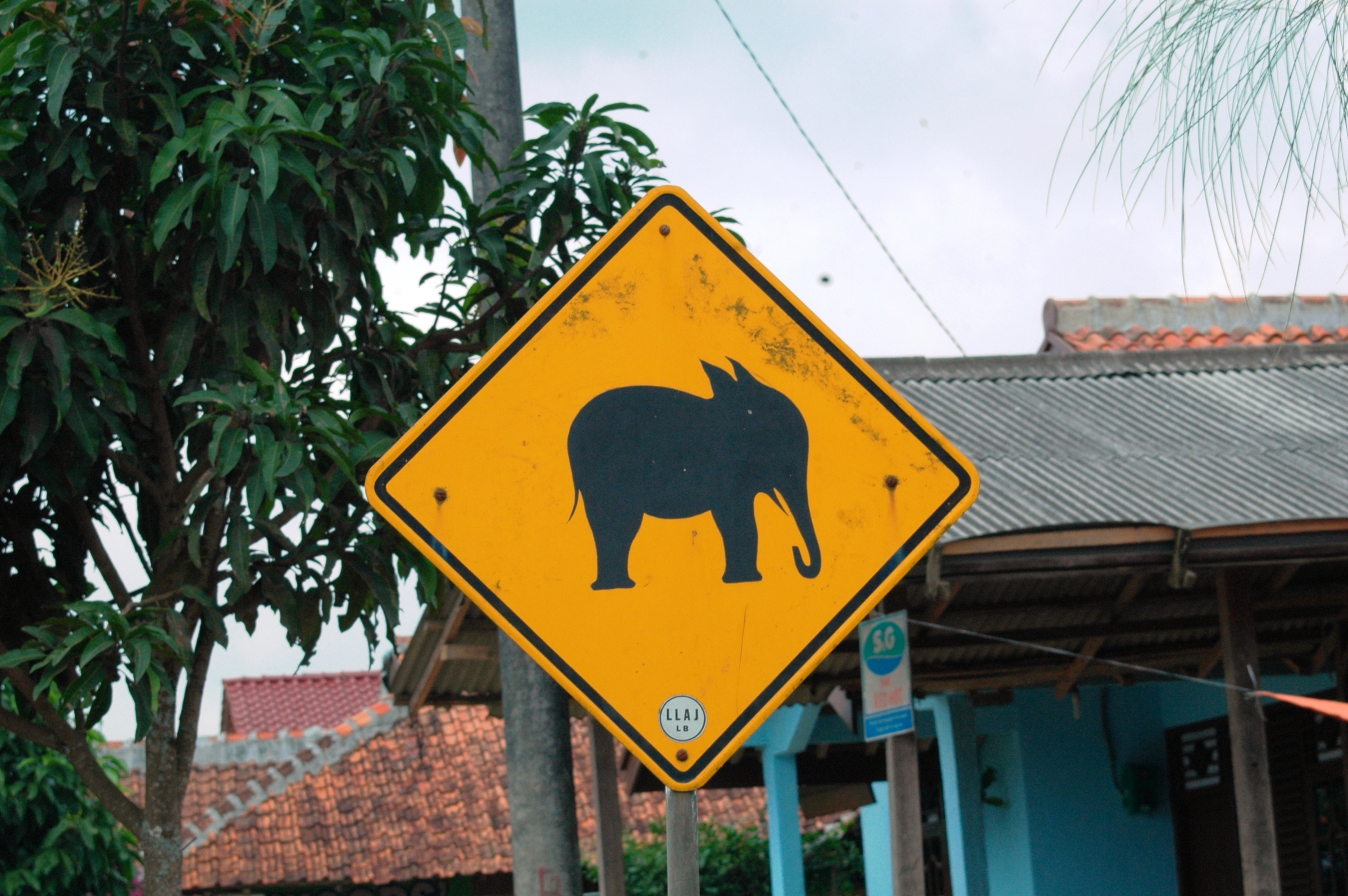 Olifant bord in gebieden waar Sumatraanse olifanten doorheen liepen