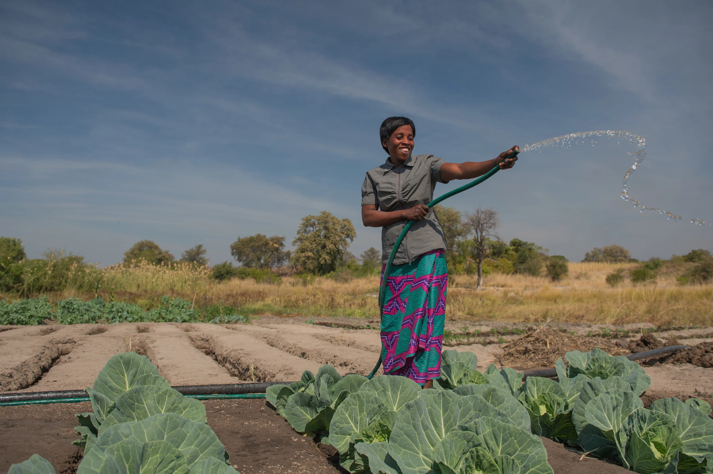 Vrouw geeft groenten water, Zambia WW193659