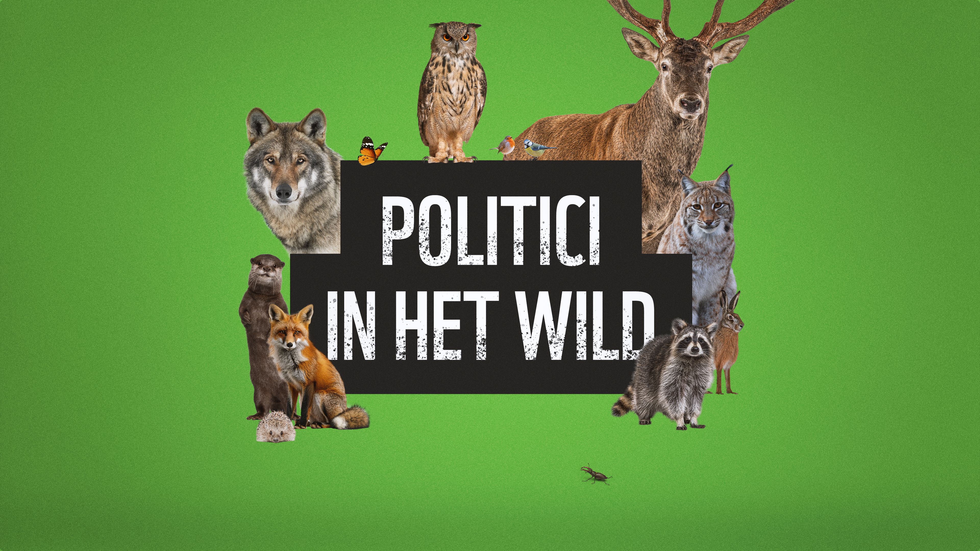 De banner van de Politici in het wild Podcast