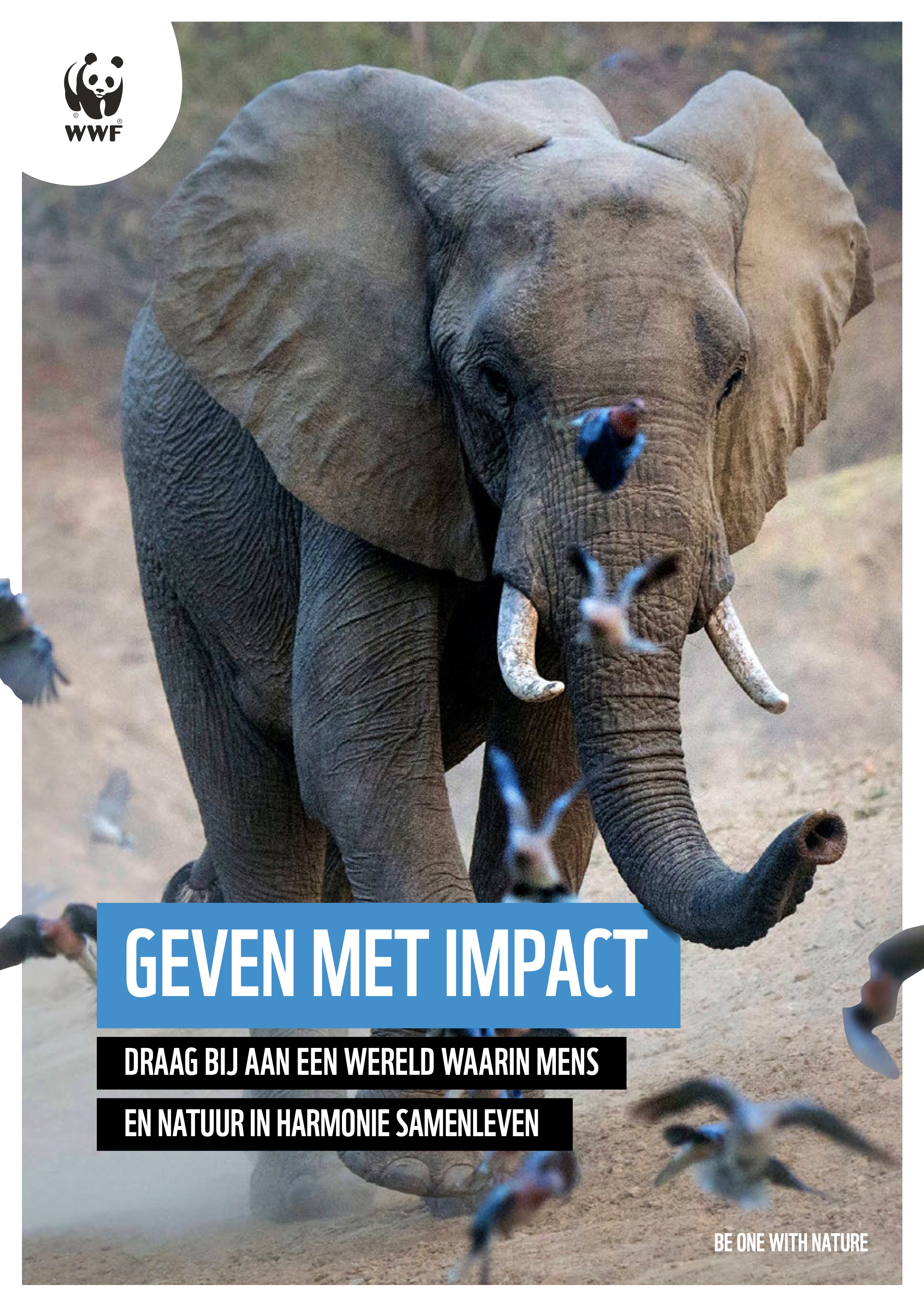 Cover Brochure Geven met Impact.jpg