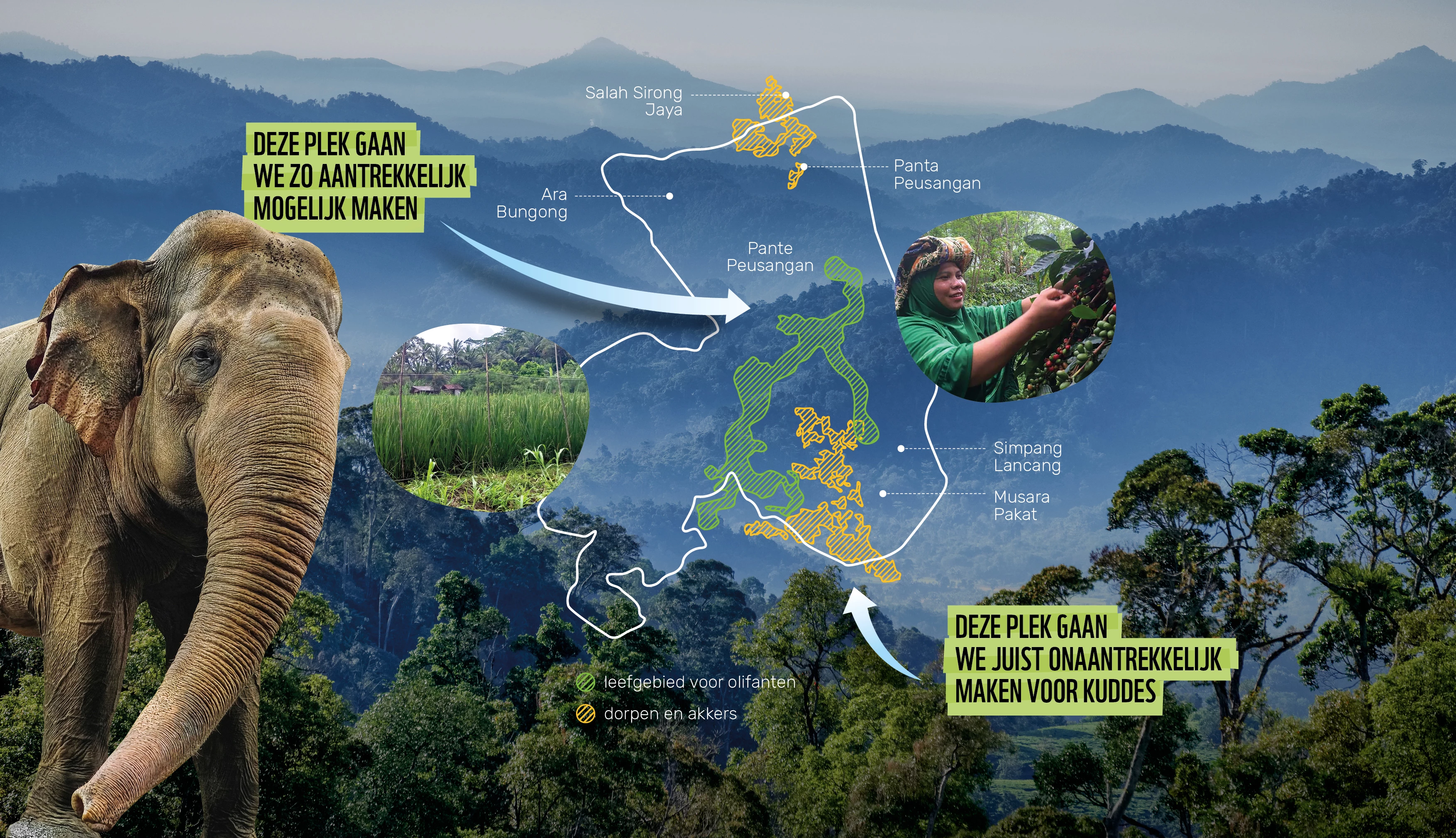 Plaat Websiteindd_16-9 verhouding.jpg