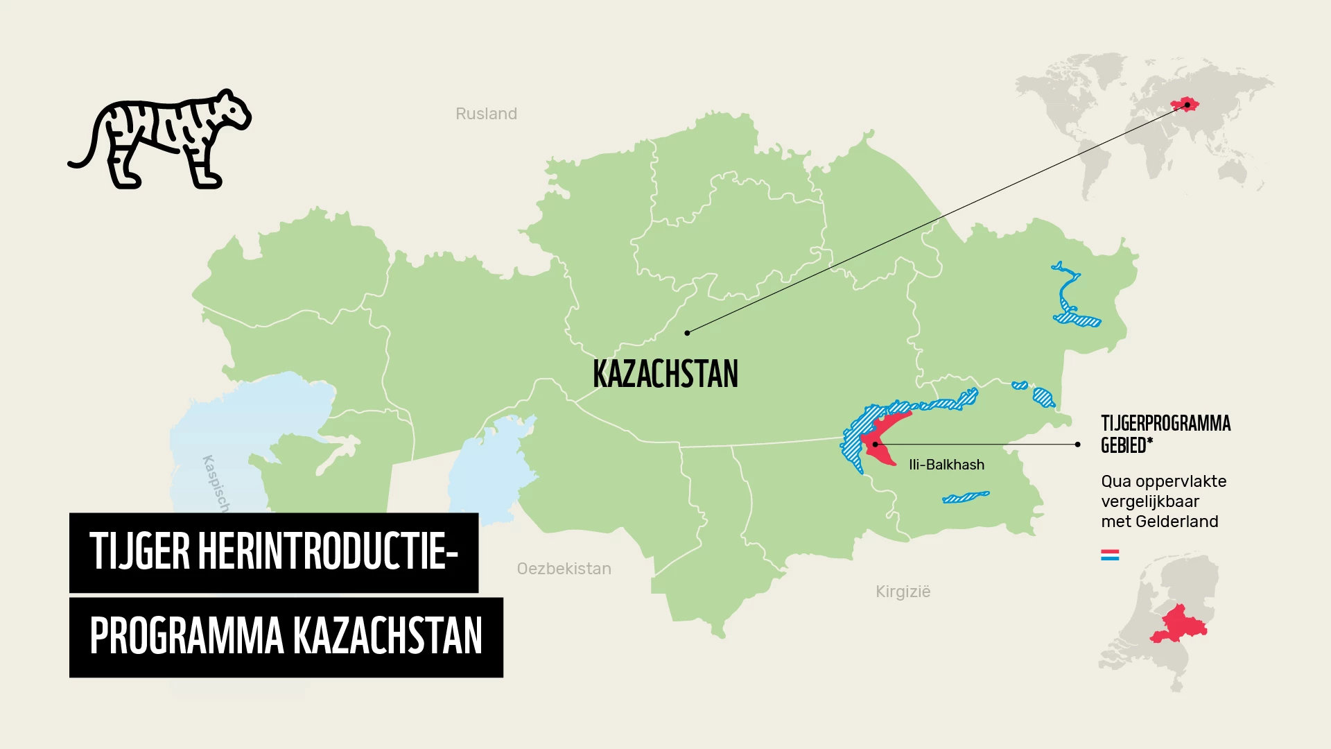 Tijger Herintroductieprogramma Kazachstan (1).jpg