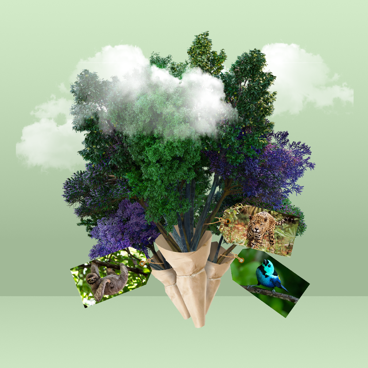 Een Bosje Bomen met tags