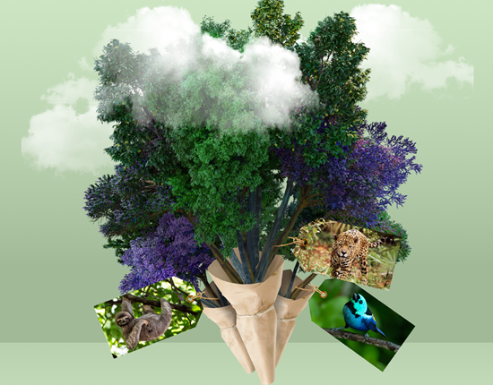 Een Bosje Bomen met tags