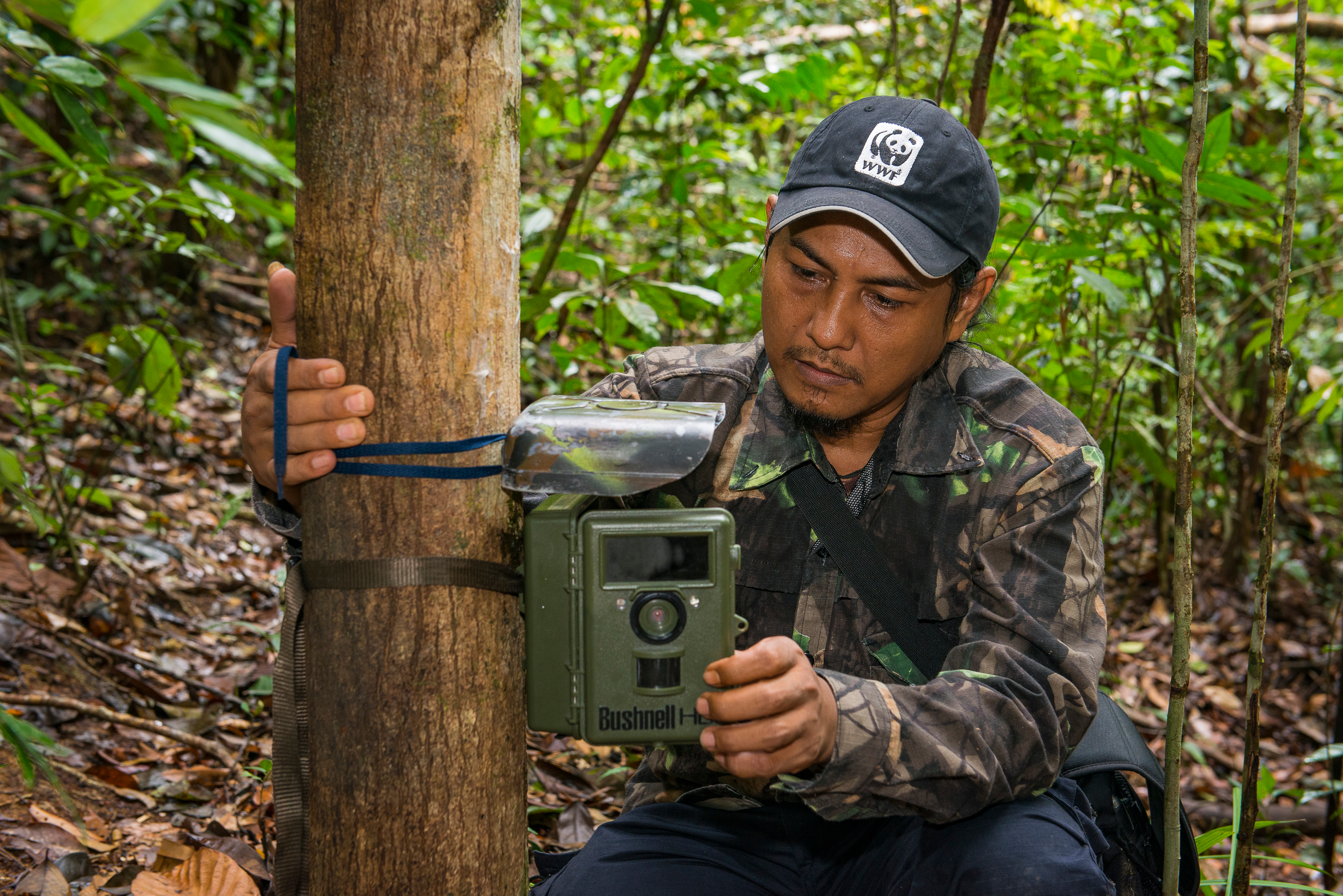 Cameraval voor onderzoek