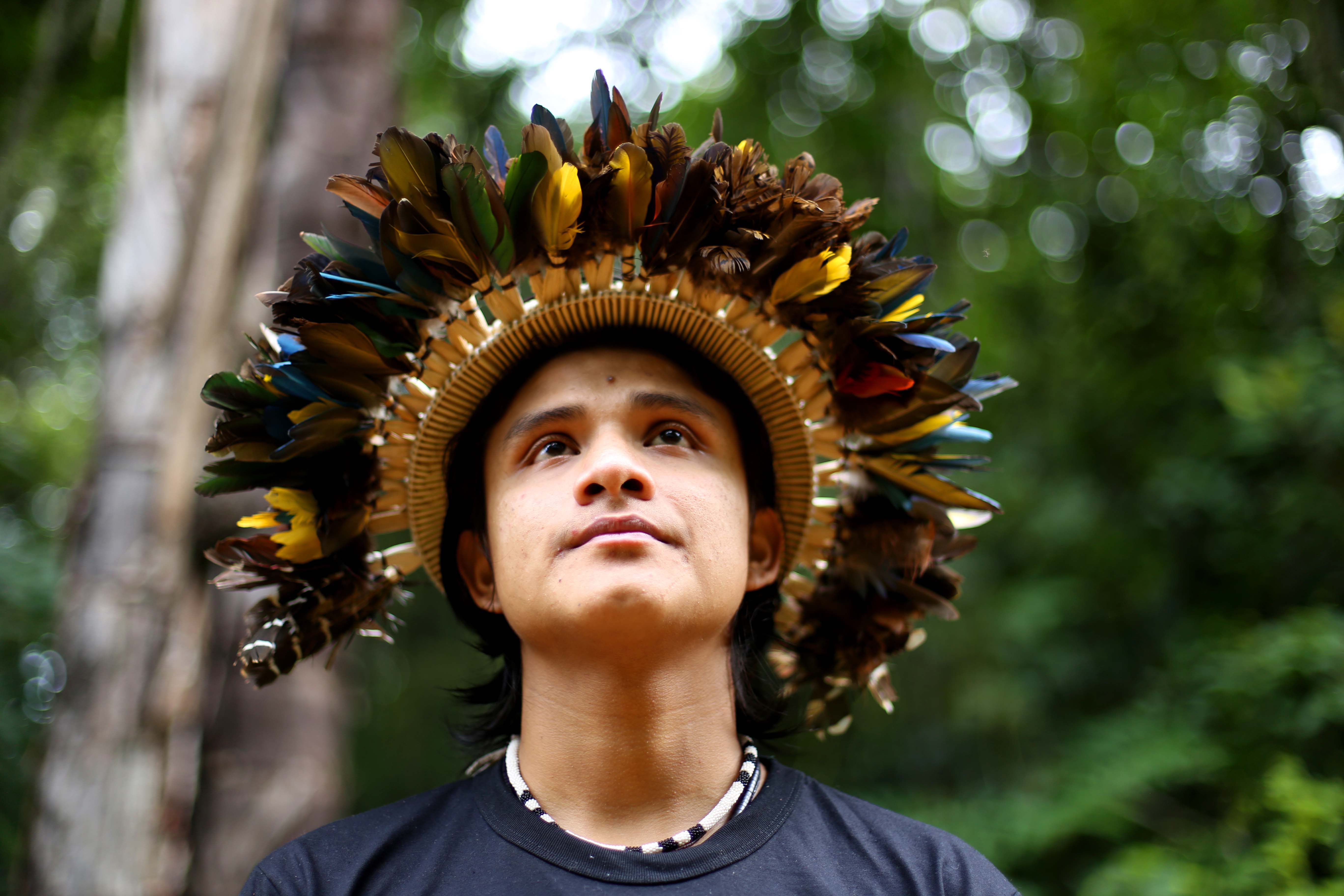 Bitaté met hoofdtooi, kijkt omhoog