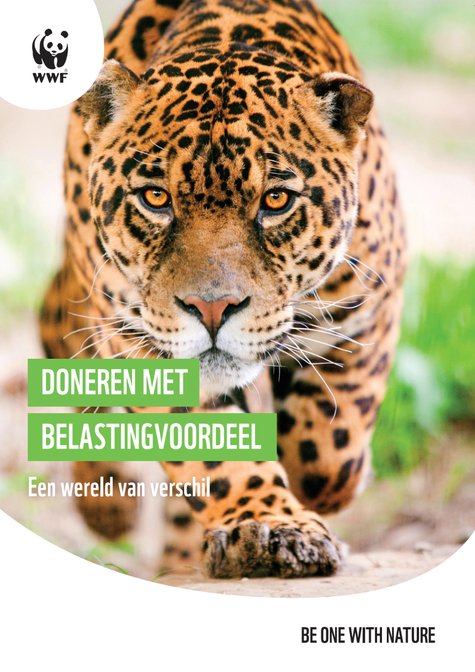 cover brochure periodiek schenken