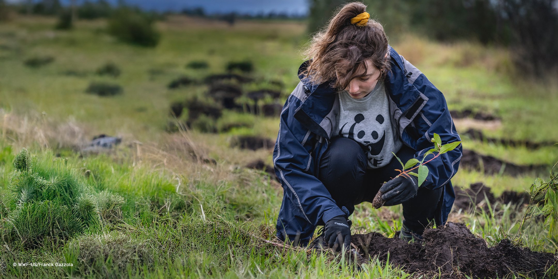 Banner Foodies for Nature