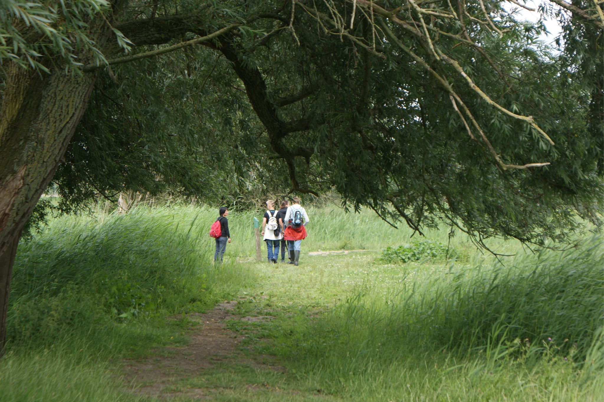 Natuurwandeling regioteam Friesland