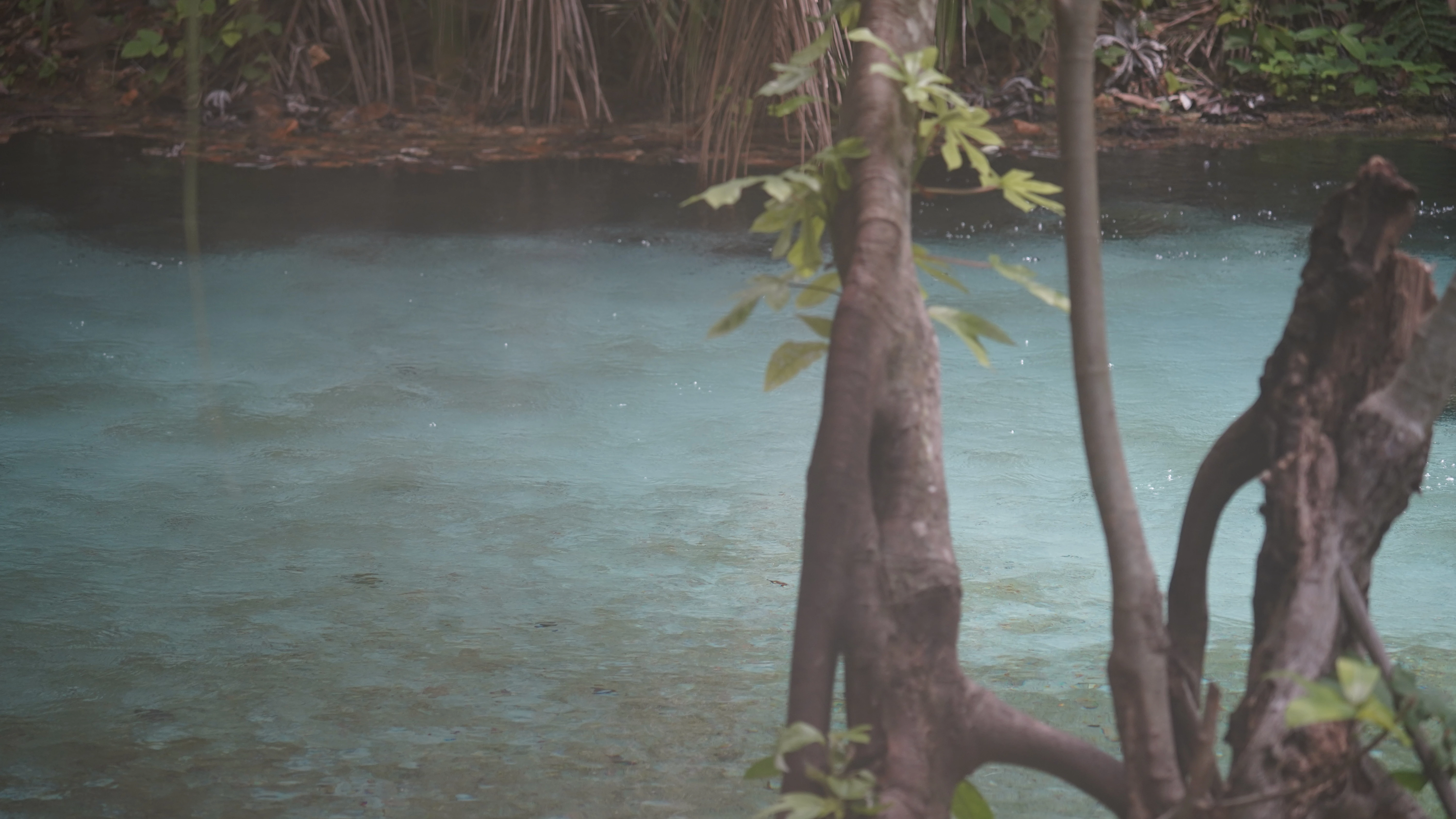 Mauricio Mendez - DSC01564.JPG