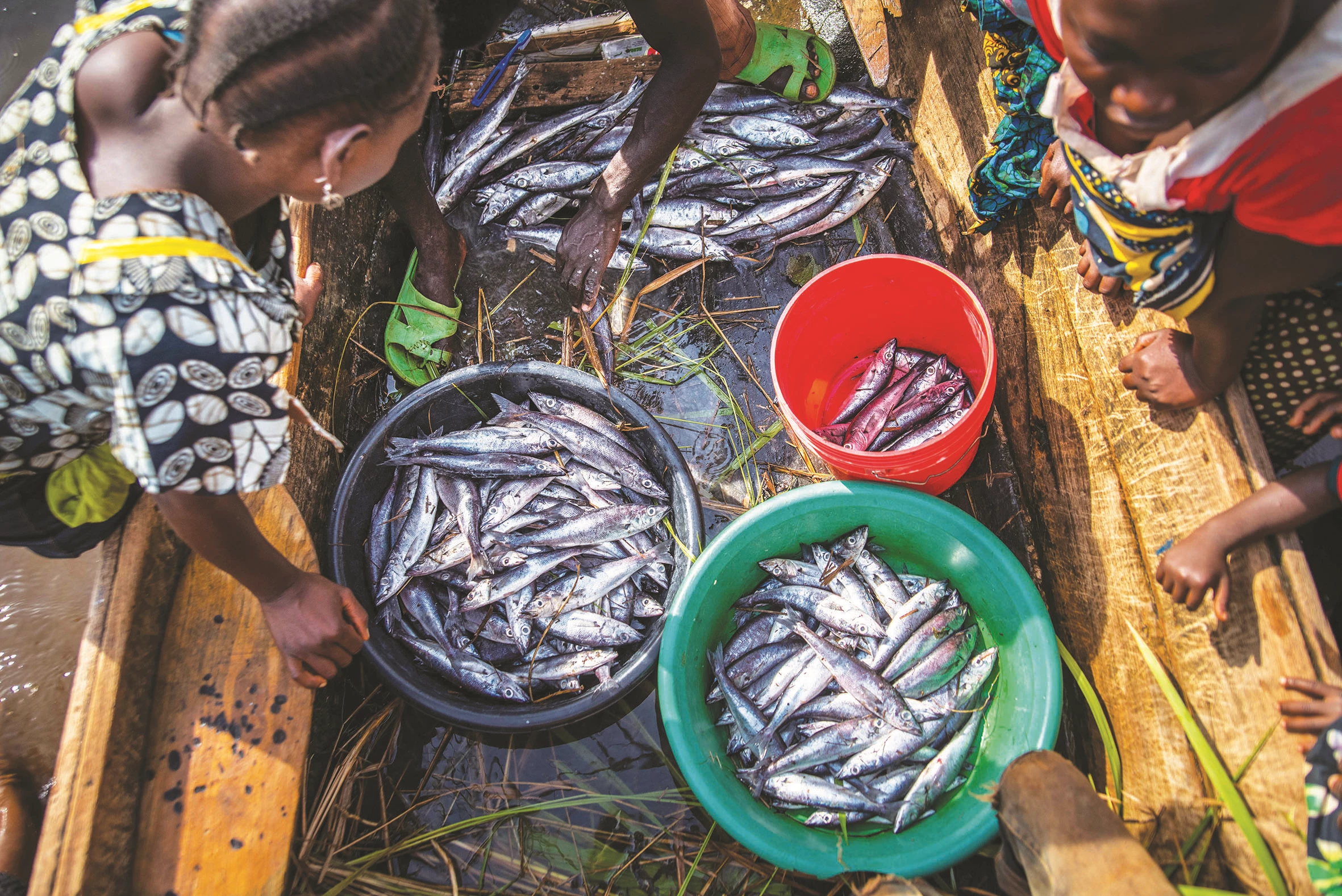 CREDIT Roshni Lodhia for The Nature Conservancy.jpg