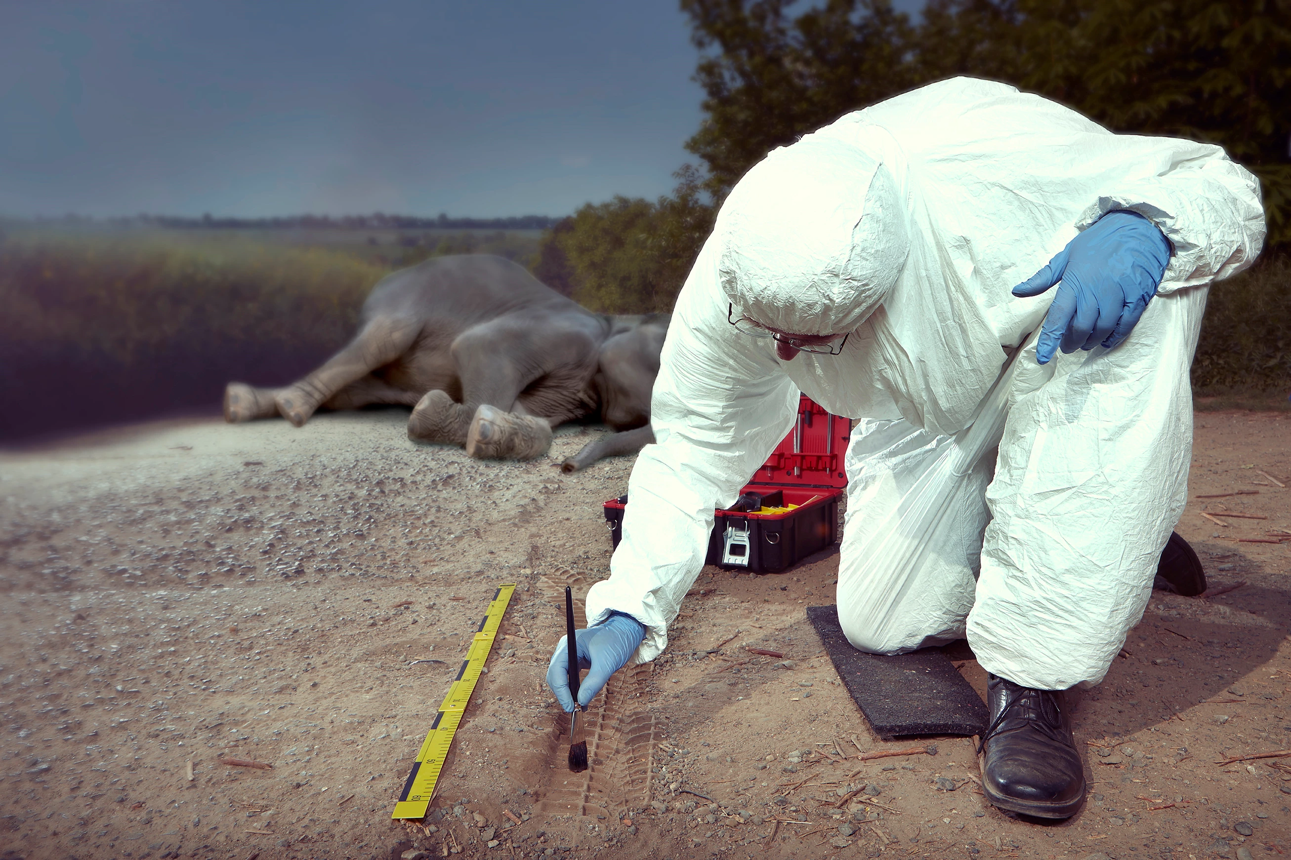 26-042 Sustainable Scale-up Foundation (6).jpg