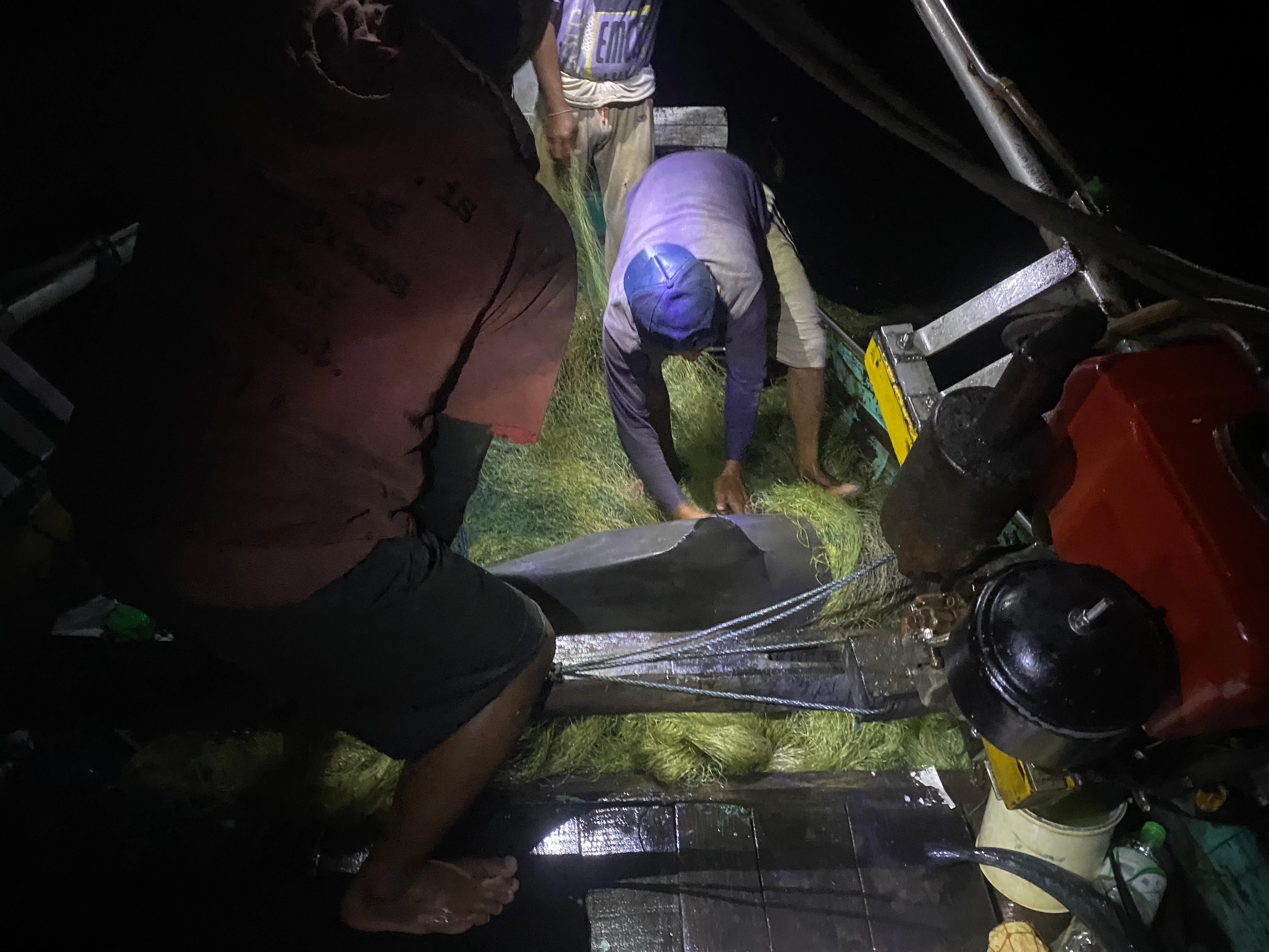 Entangled Dolphin in gillnet fisheries_Muncar_July2023_WWF-IndonesiaChaerul Ahadi.jpg