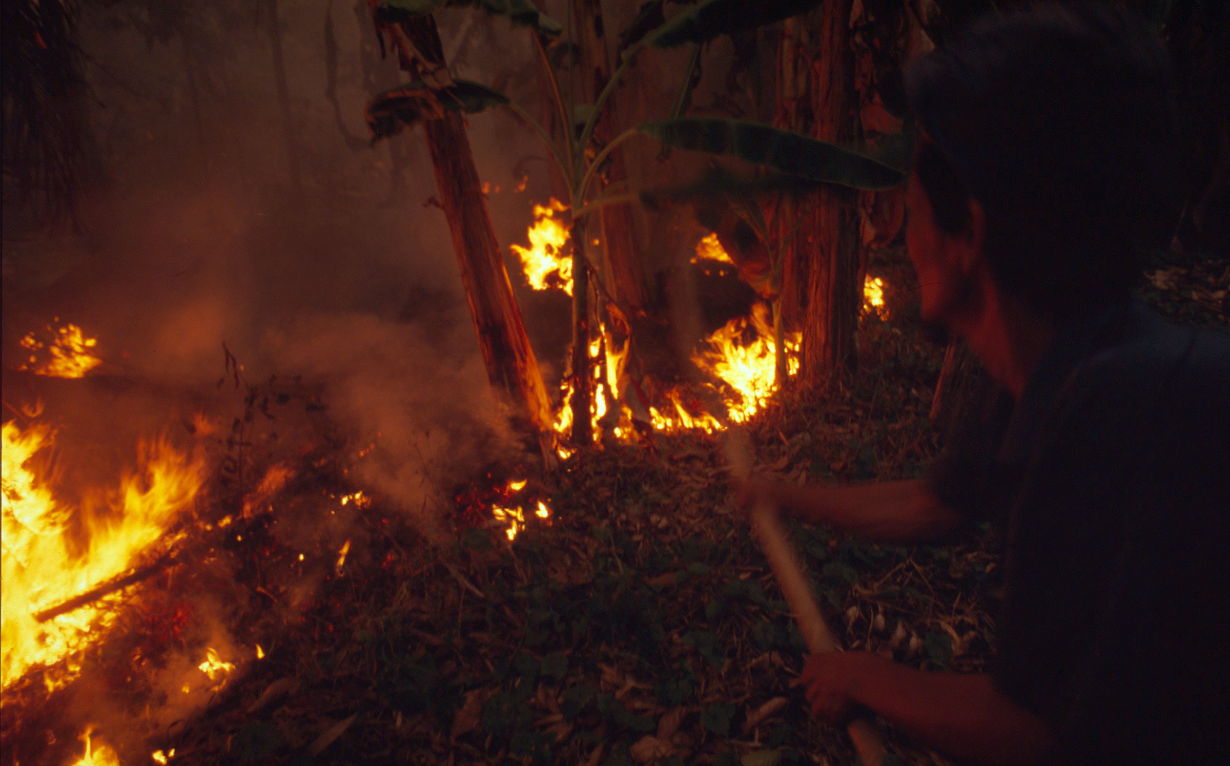 Bosbranden Indonesië 