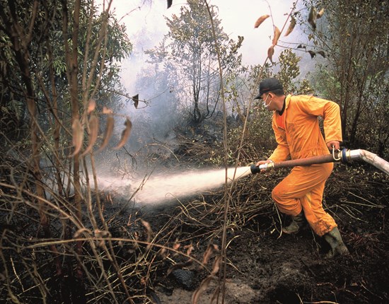 Vuur bestrijden, brand blussen, Kalimantan