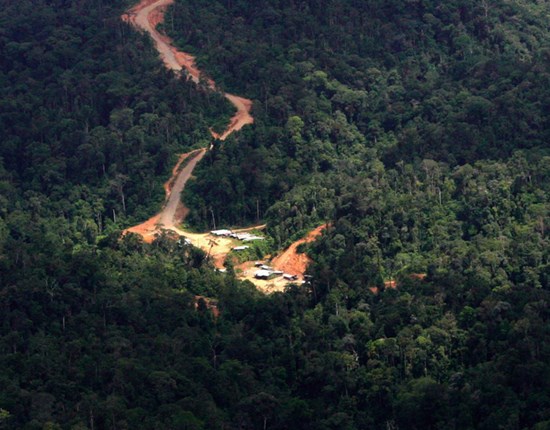 Illegale ontbossing kamp, Betung Kerihun National park, West Kalimantan, Indonesië