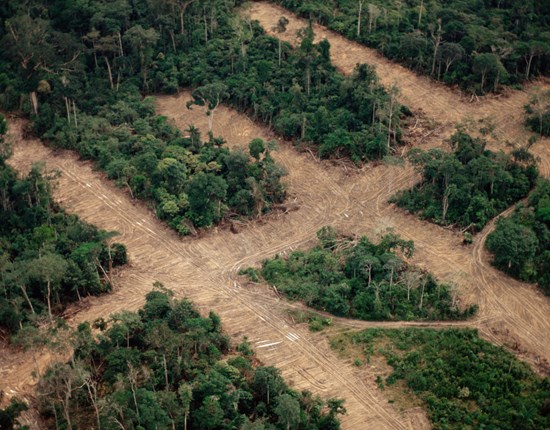 Luchtfoto over het regenwoud met de ontbossing