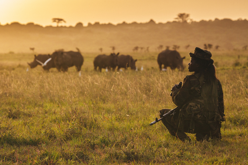 Wwf Ranger Stroperij dieren | WWF | Stop Wildlife Crime, help mee