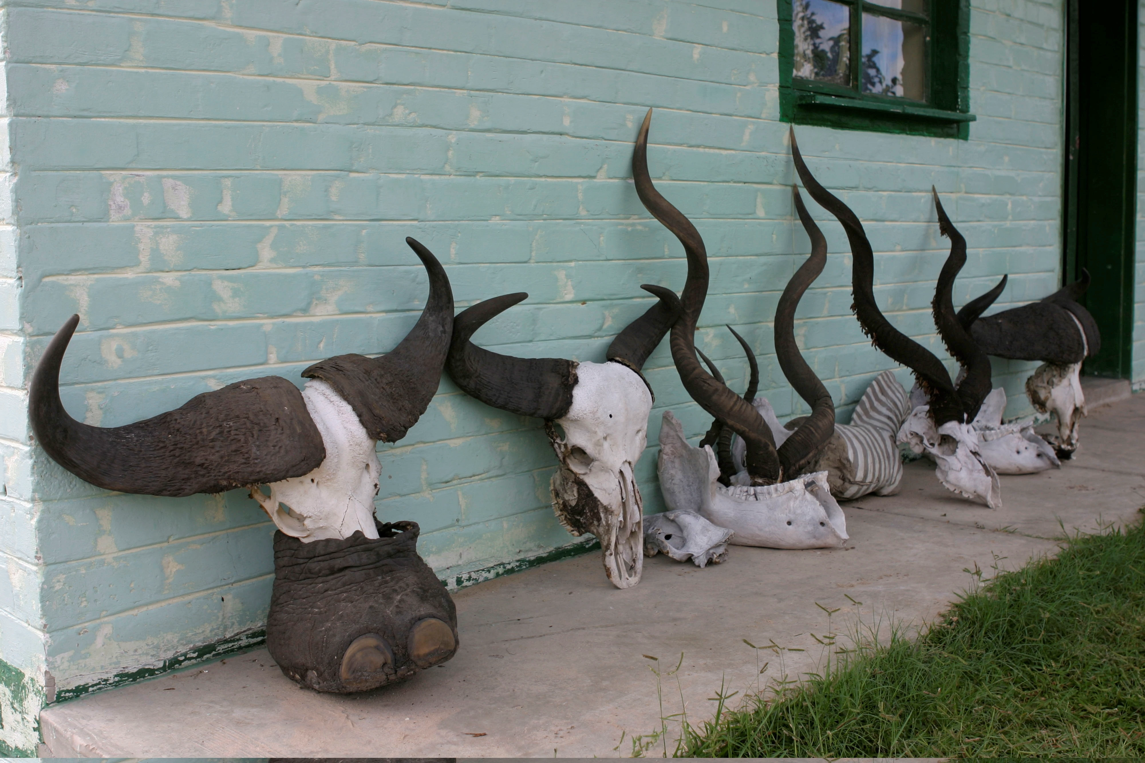 Ingenomen trofeeën van plezierjacht WW176259.jpg