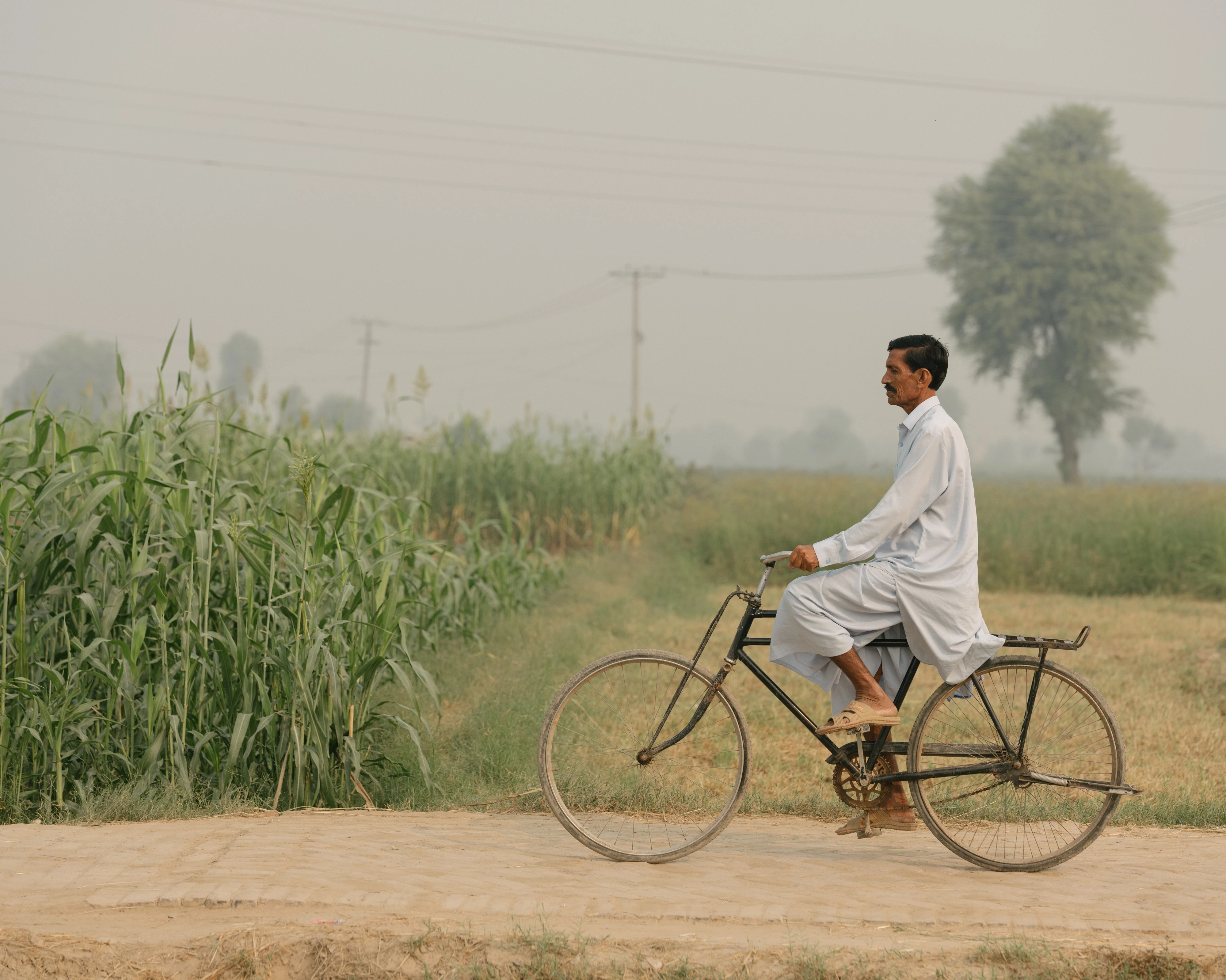 Man op fiets langs veld, Pakistan WW1192547