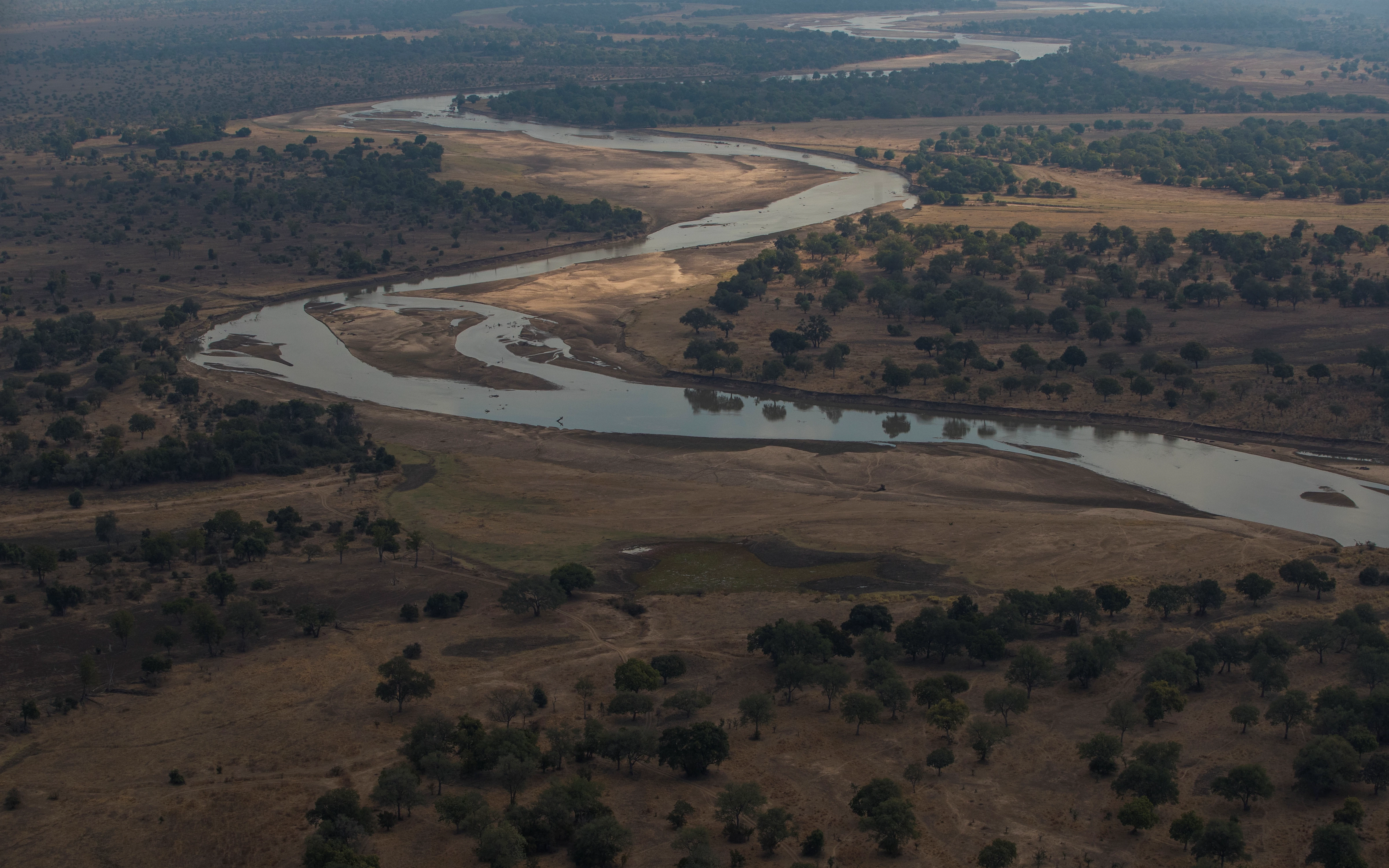 Luangwa-rivier droge seizoen WW248768