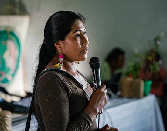 Chela Elena Umire spreekt over Ecosystem Service Assesment in Colombia