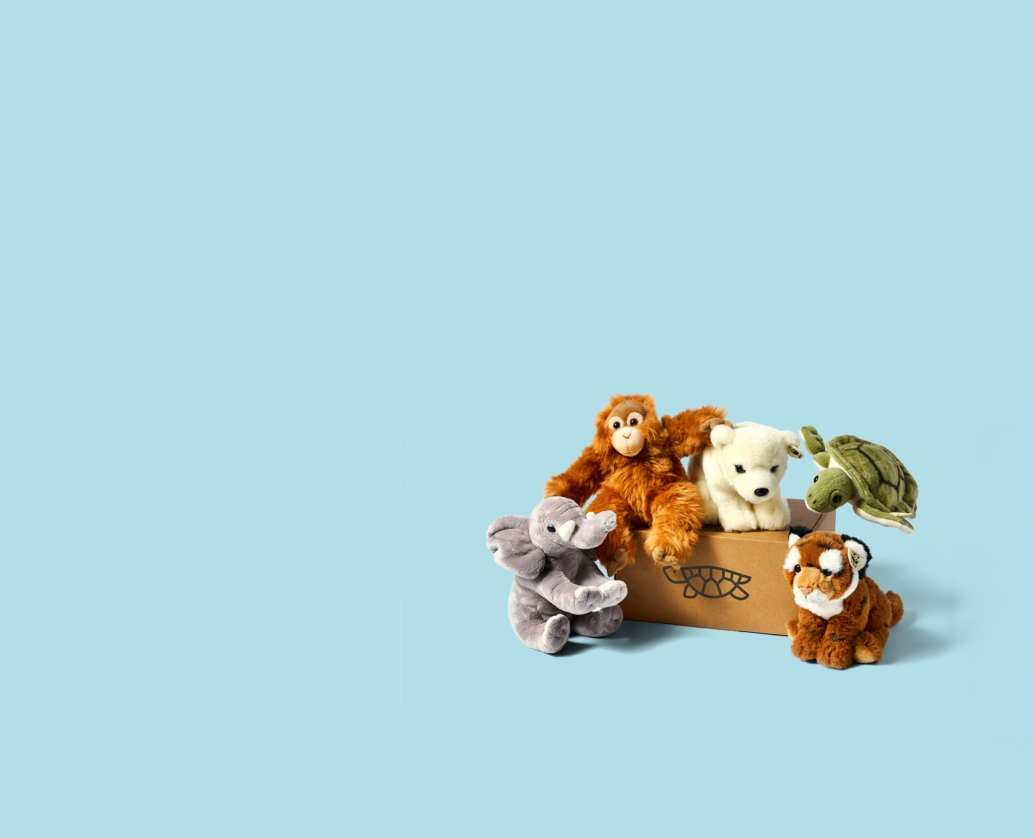 Groep van 5 knuffels orang-oetan, ijsbeer, zeeschildpad, olifant en tijger