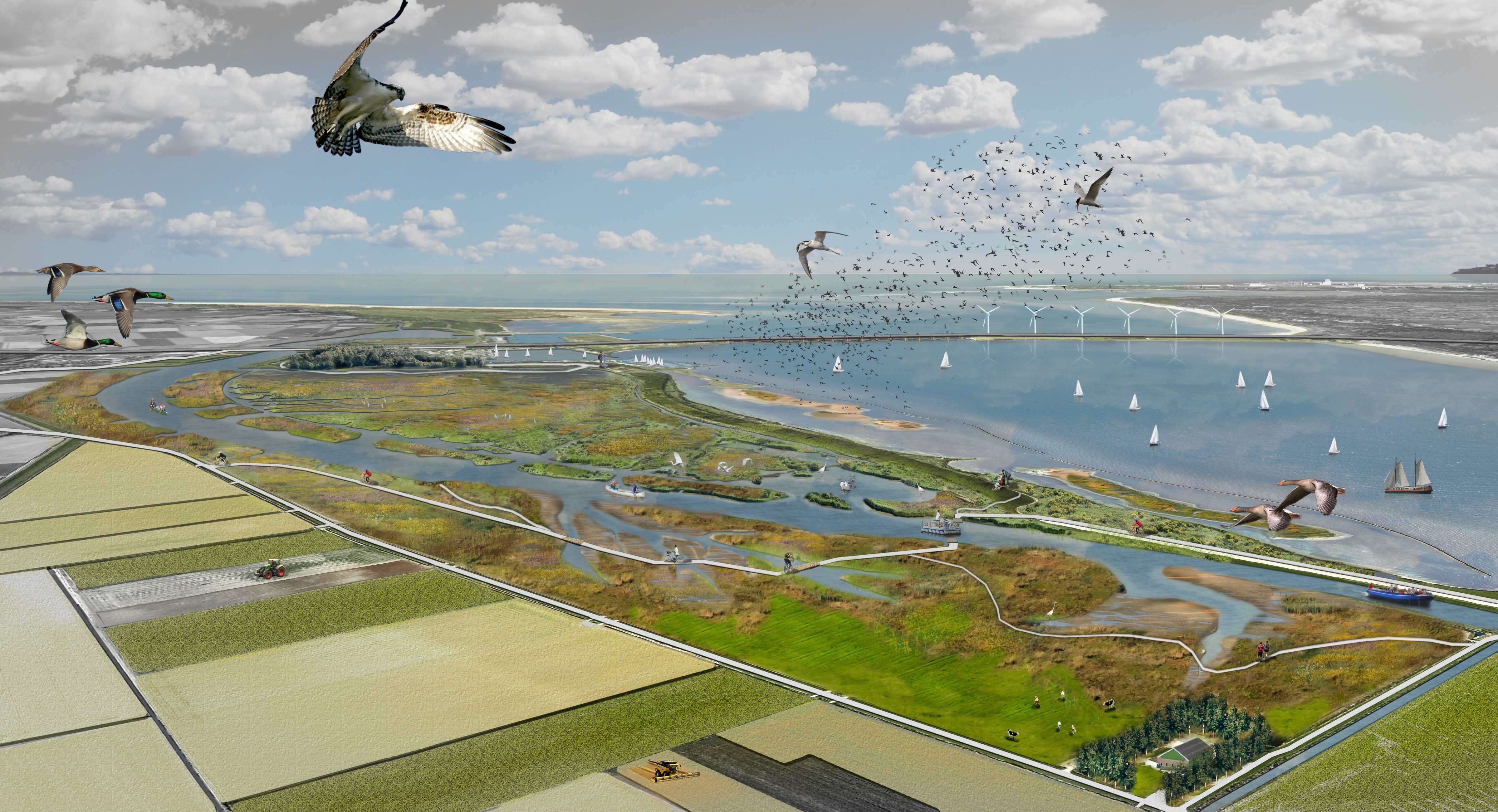 vogels vliegen over haringvliet