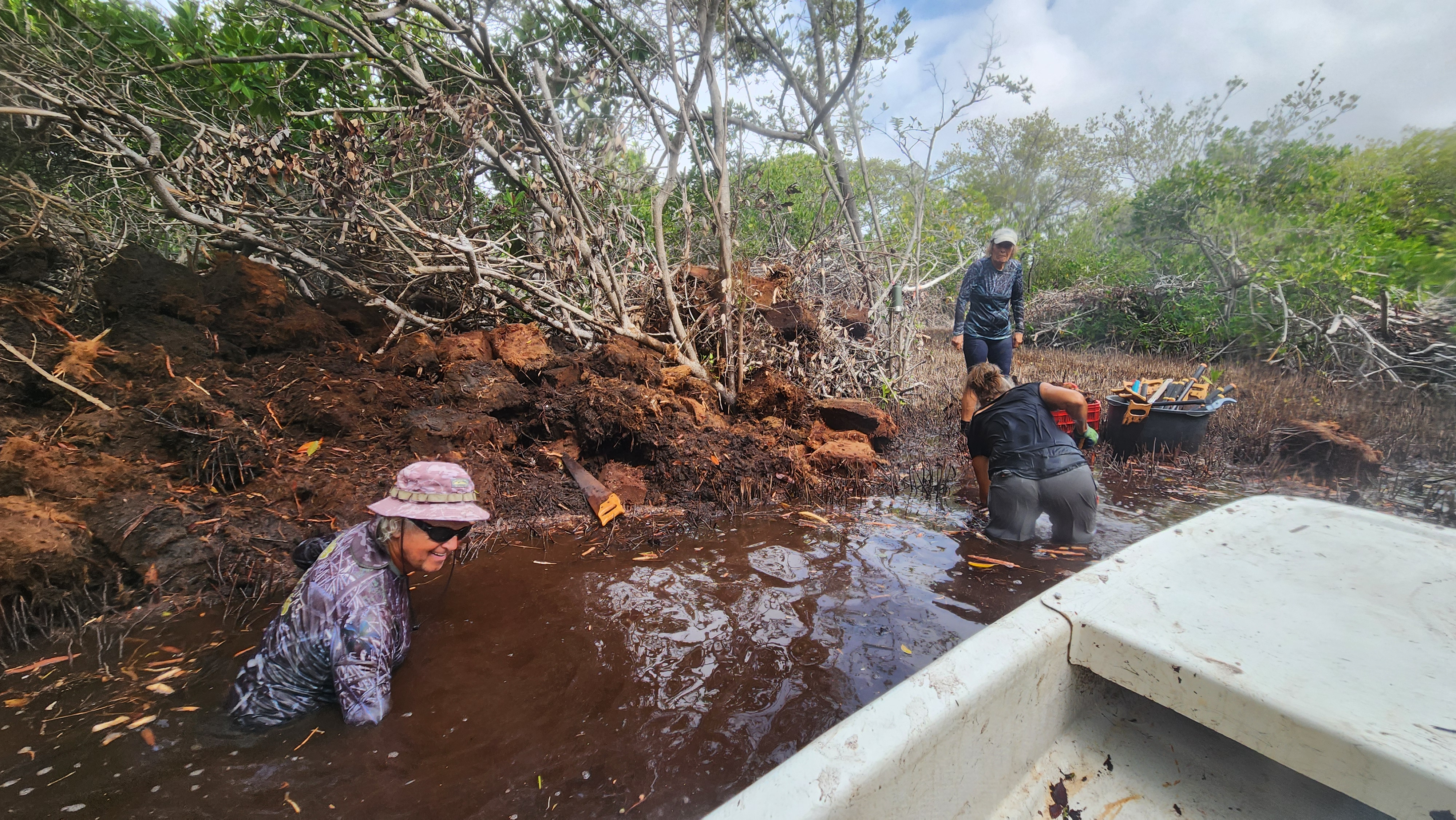 mangroves bonaire