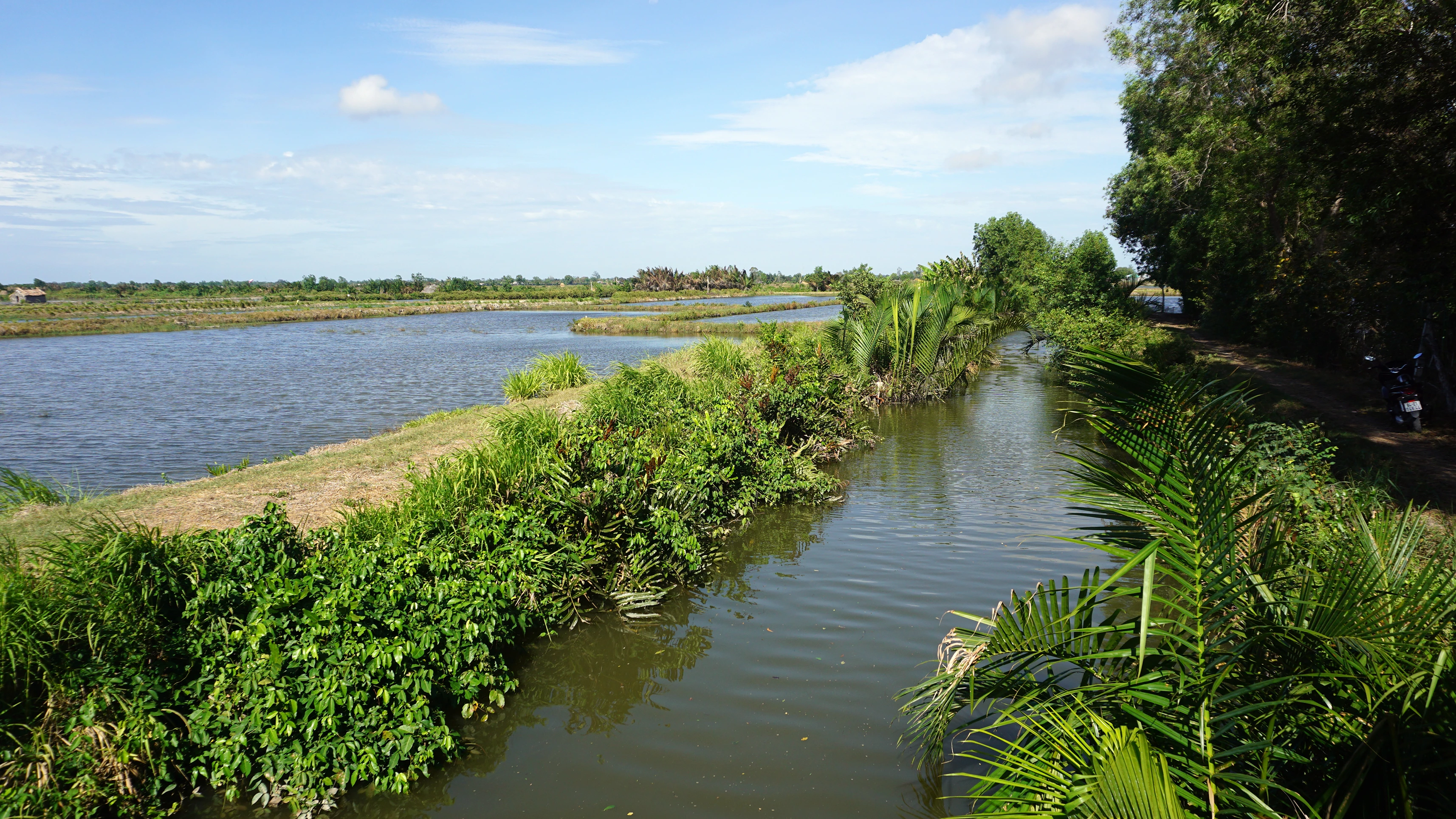 DFCD Mekong Delta canal