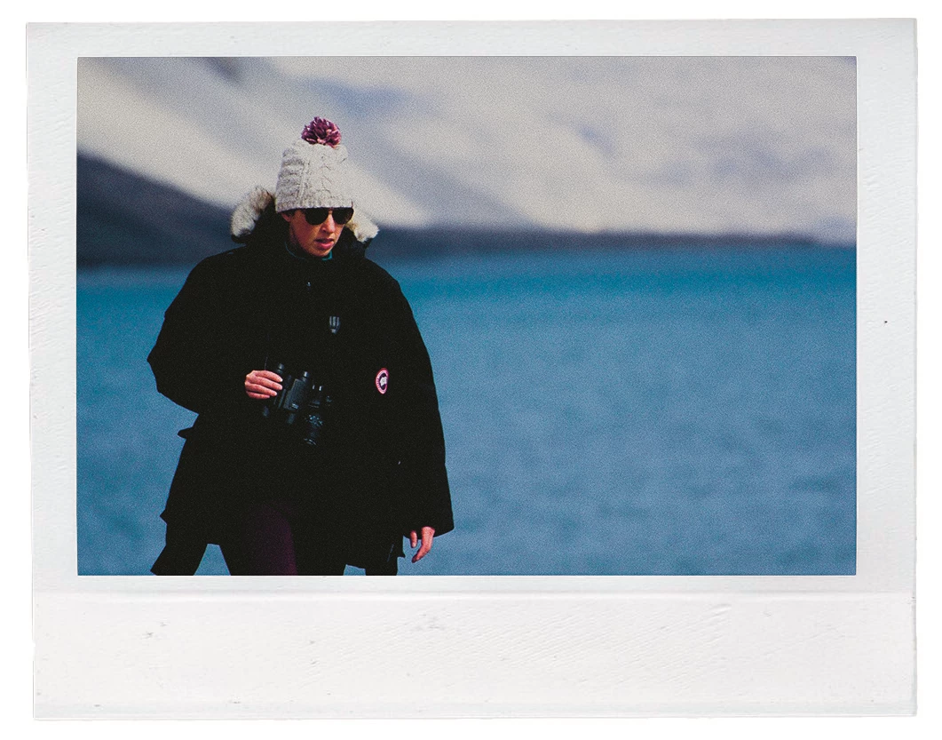 Zoeken naar narwhallen.jpg